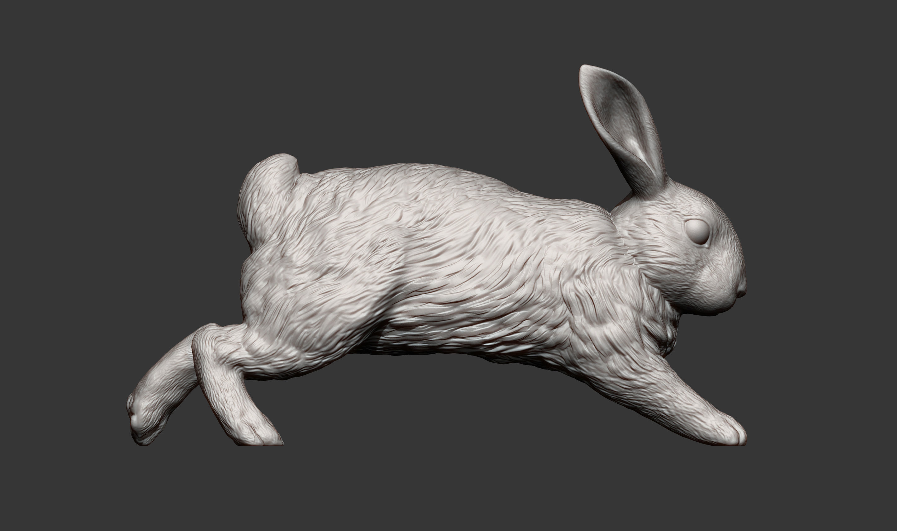 Rabbit running 3D print model_14