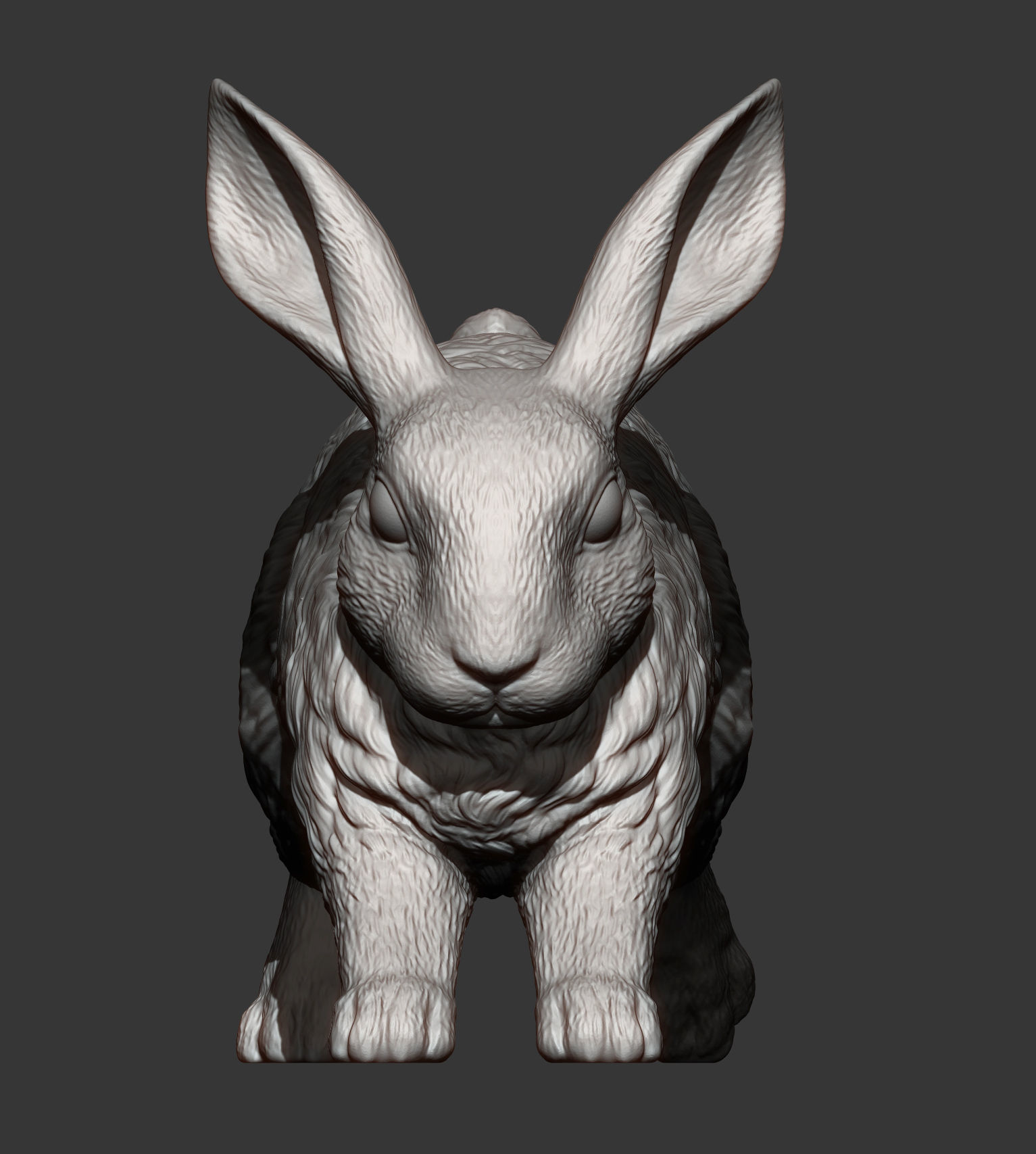 Rabbit running 3D print model_4