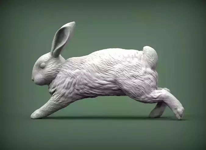 Rabbit running 3D print model