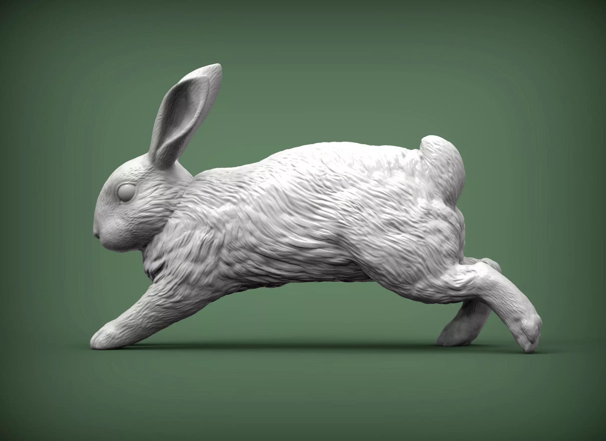 Rabbit running 3D print model_0