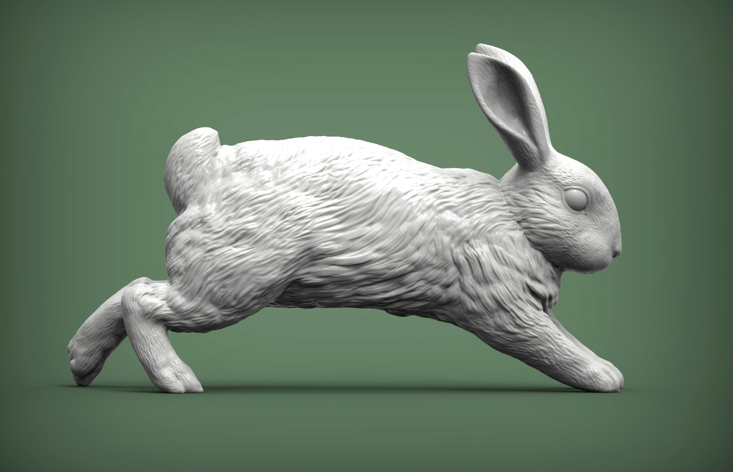 Rabbit running 3D print model_10
