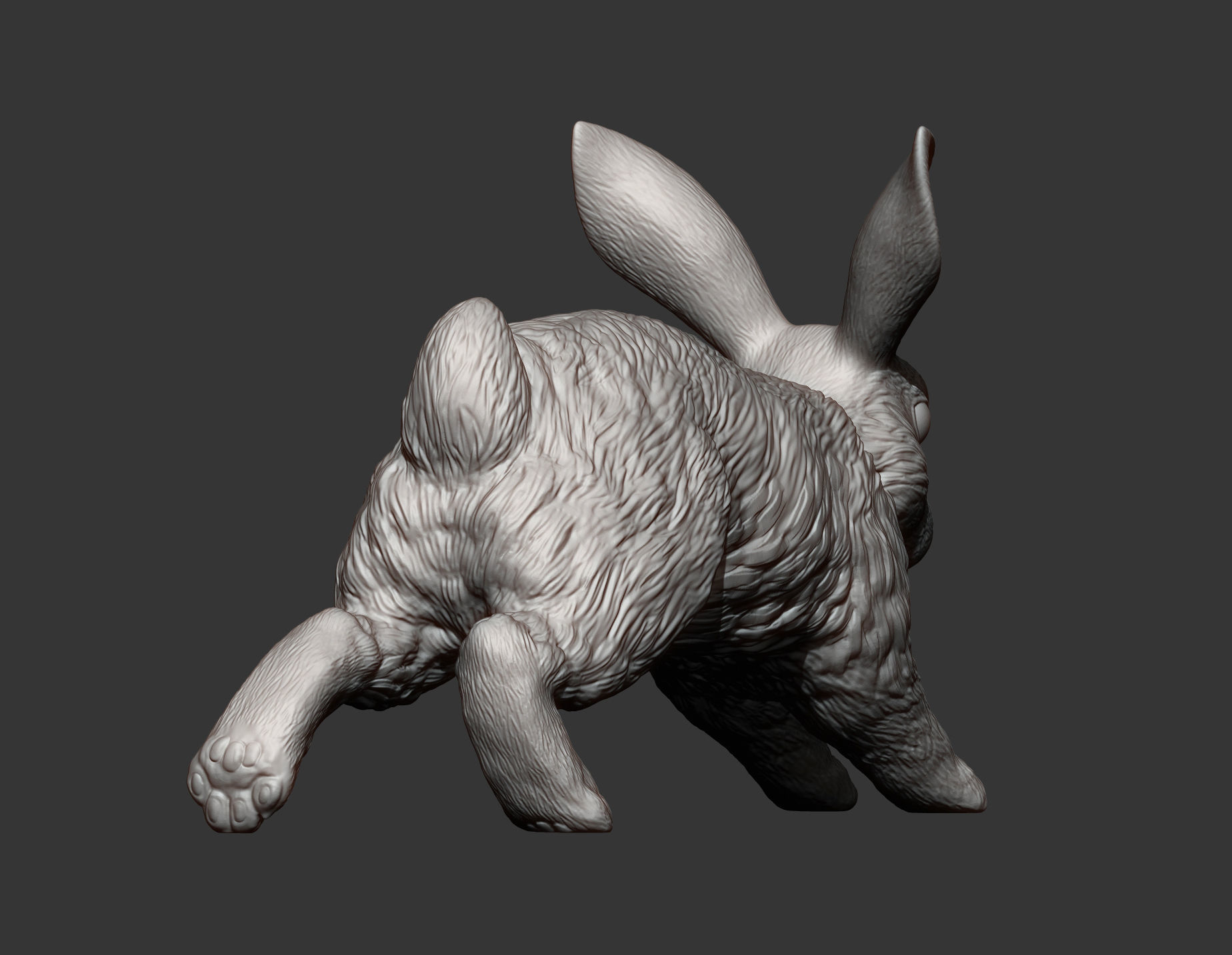 Rabbit running 3D print model_12