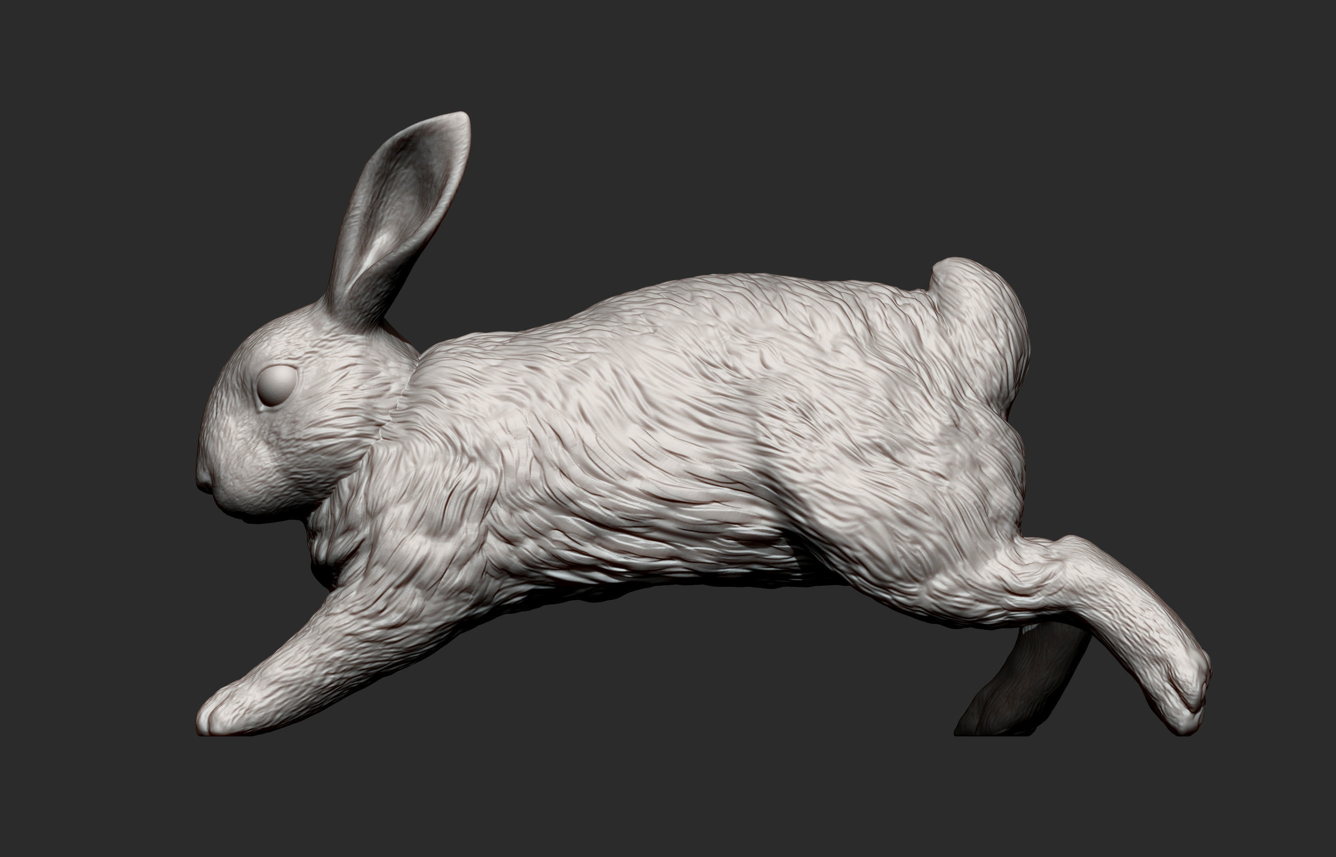 Rabbit running 3D print model_5