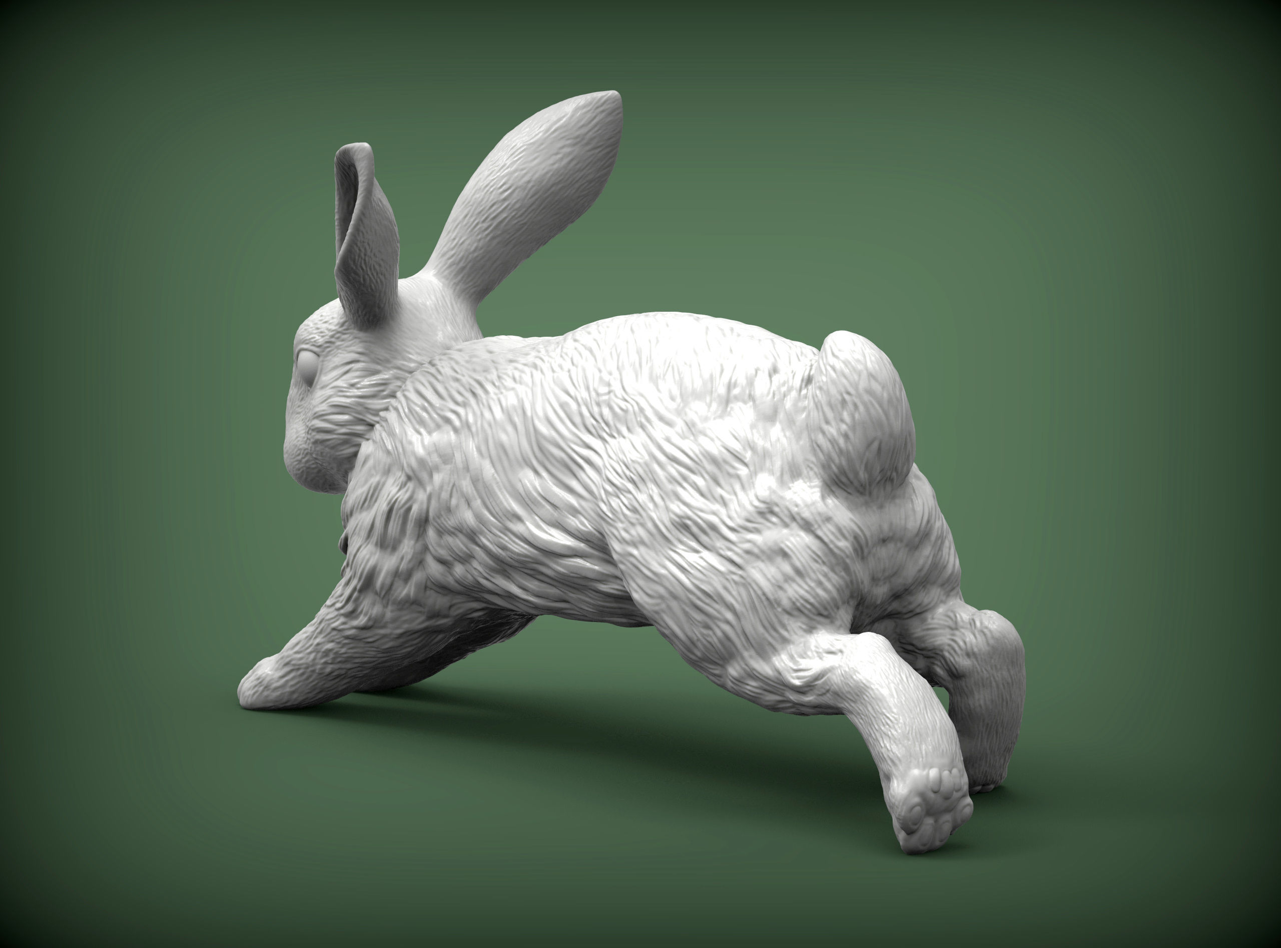 Rabbit running 3D print model_7