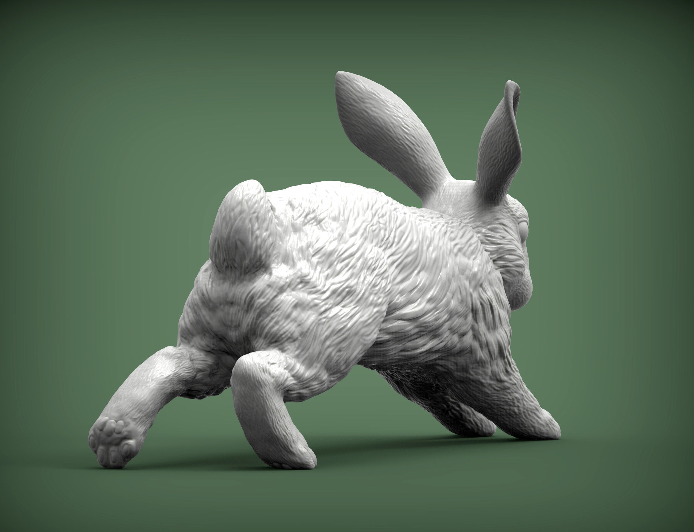 Rabbit running 3D print model_11