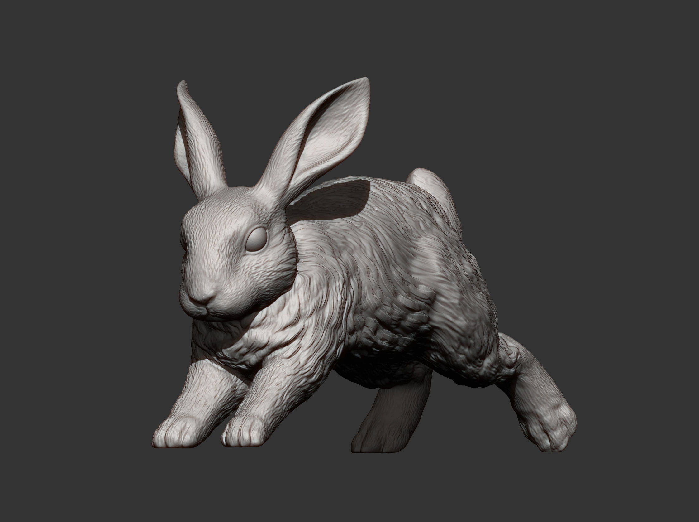 Rabbit running 3D print model_13