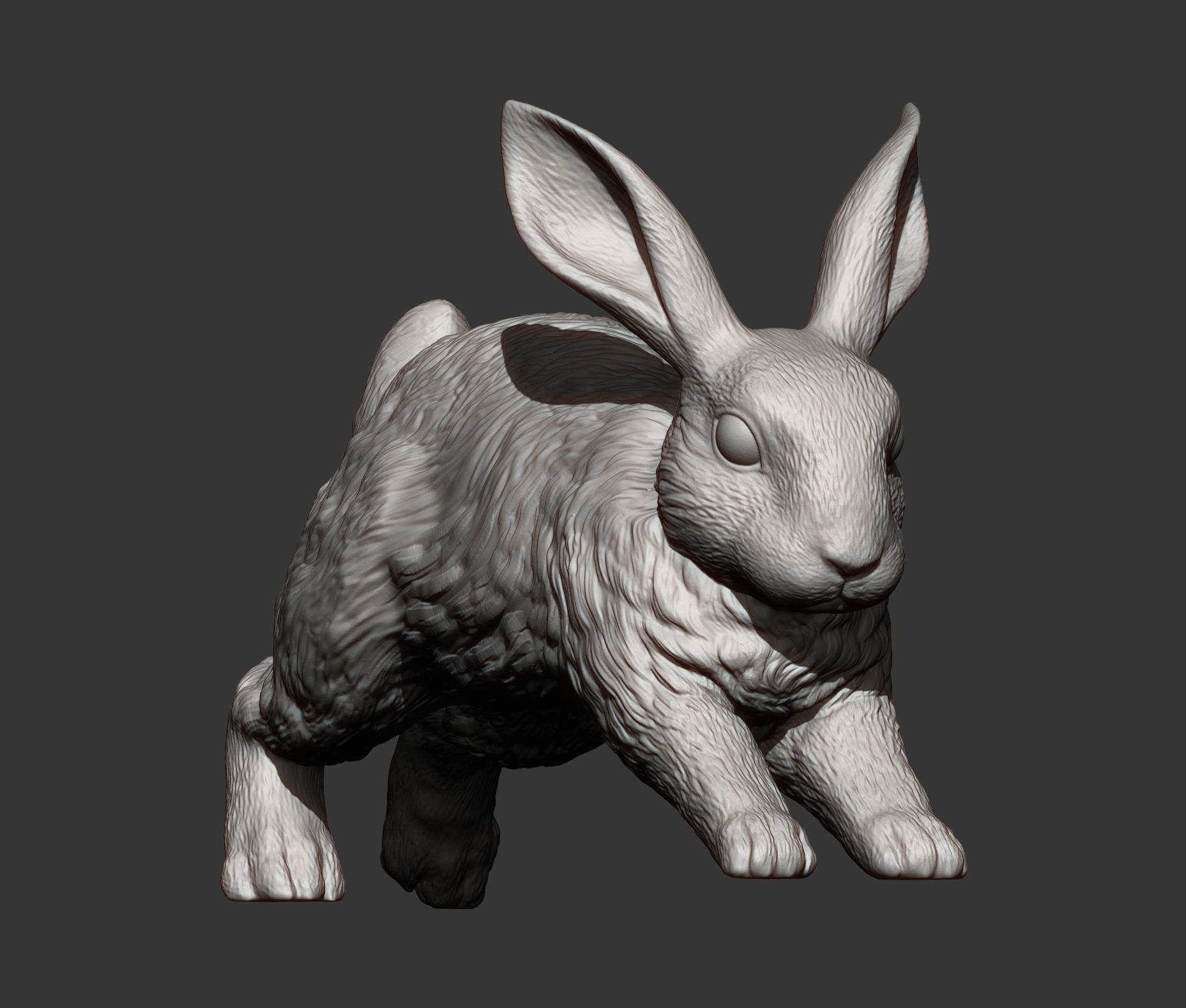 Rabbit running 3D print model_3