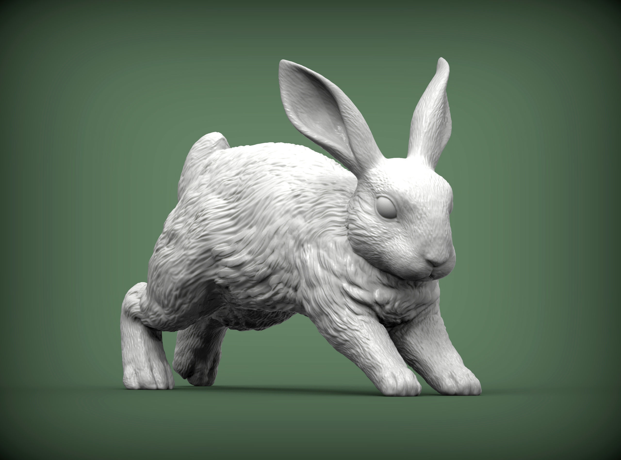 Rabbit running 3D print model_9