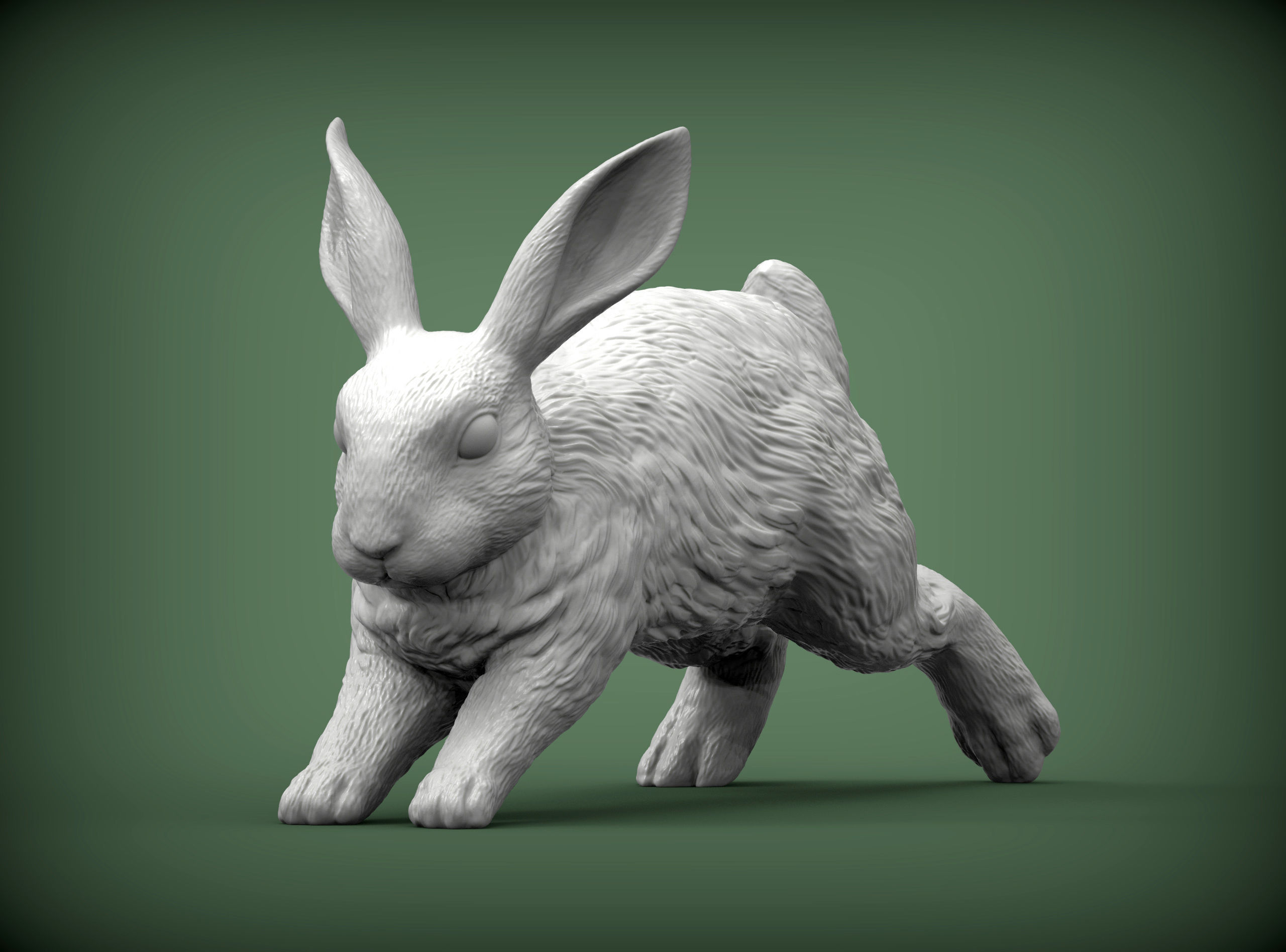 Rabbit running 3D print model_8