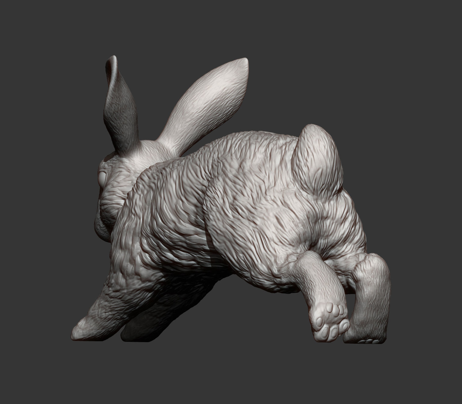 Rabbit running 3D print model_2