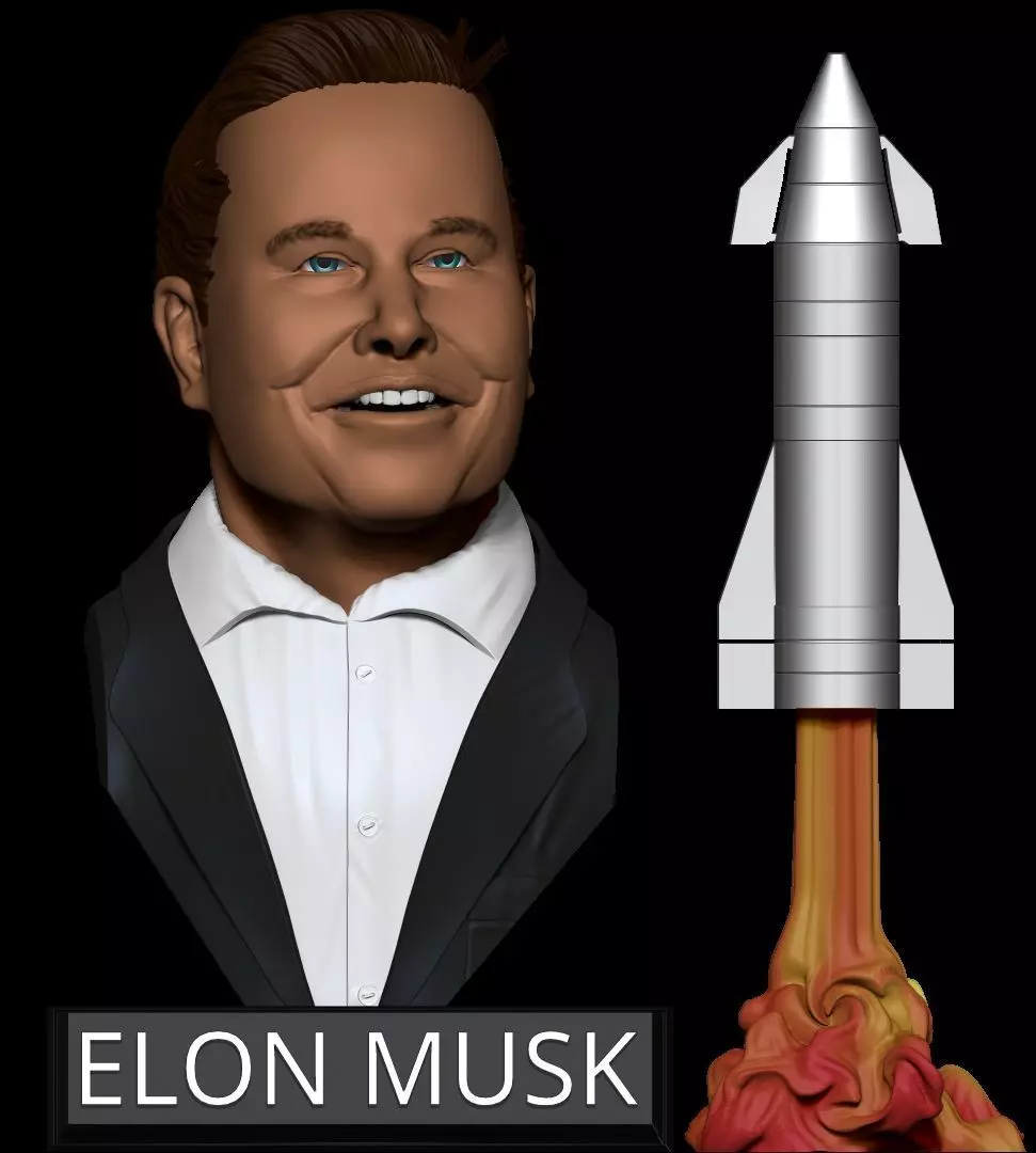 Elon Musk Bust 3D print model_0