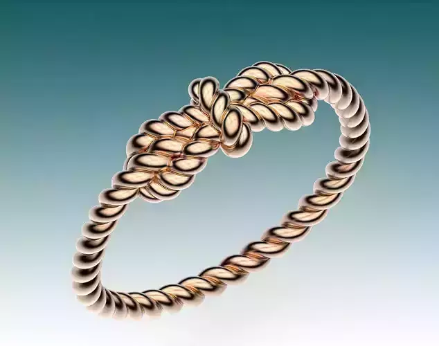 Ring Sailing Knot 3D print model