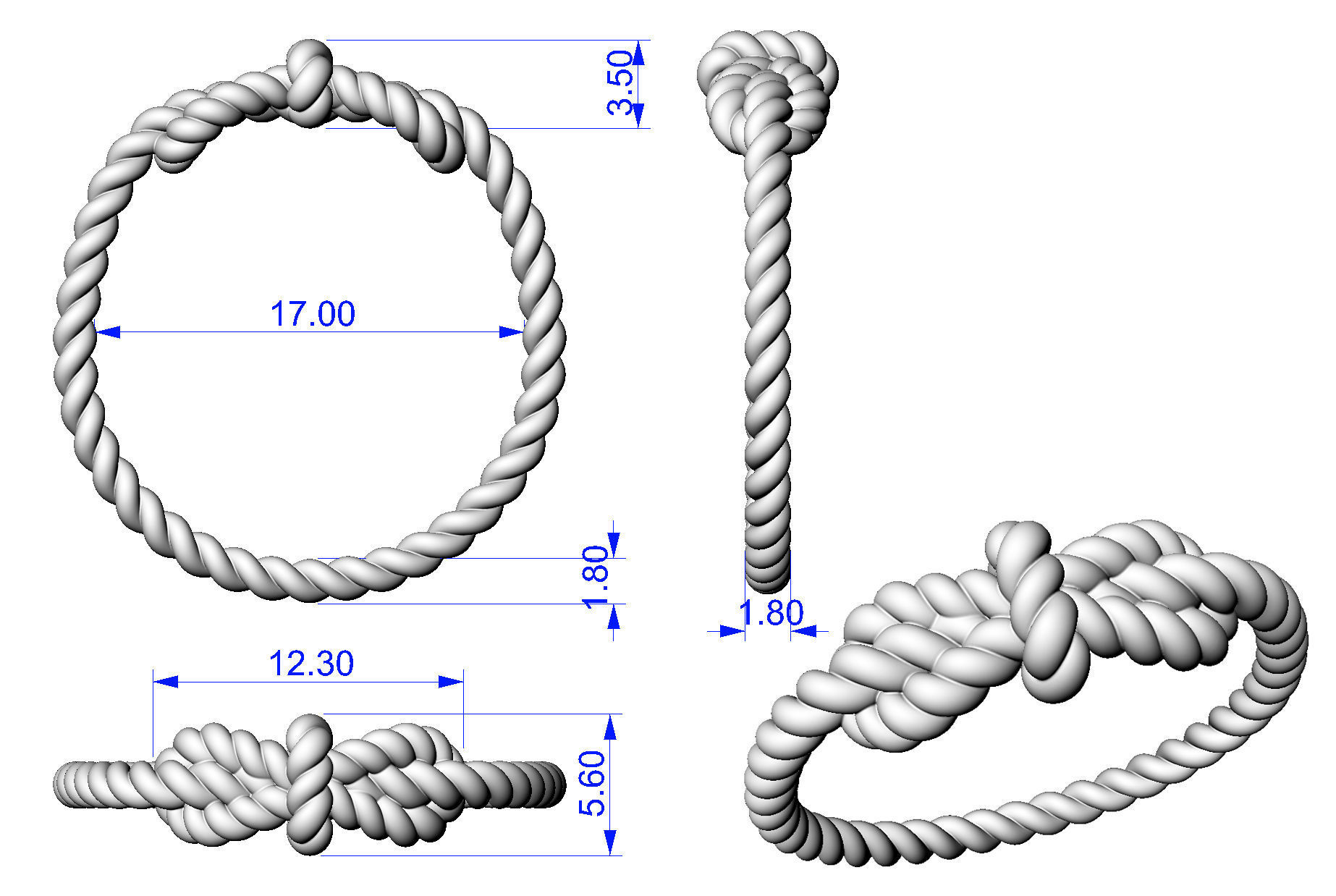 Ring Sailing Knot 3D print model_10