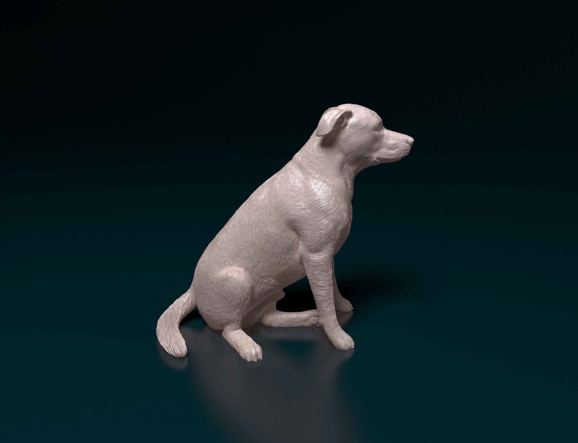 Huntaway dog 3D print model_2