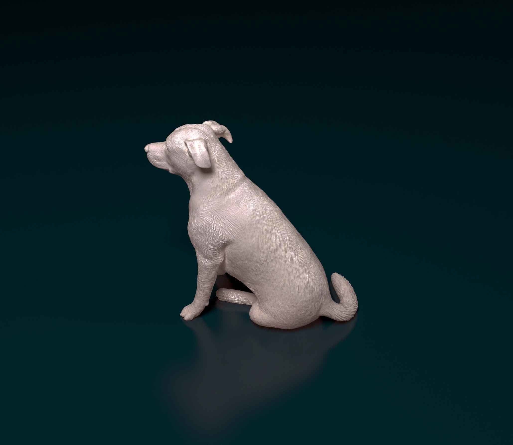 Huntaway dog 3D print model_5
