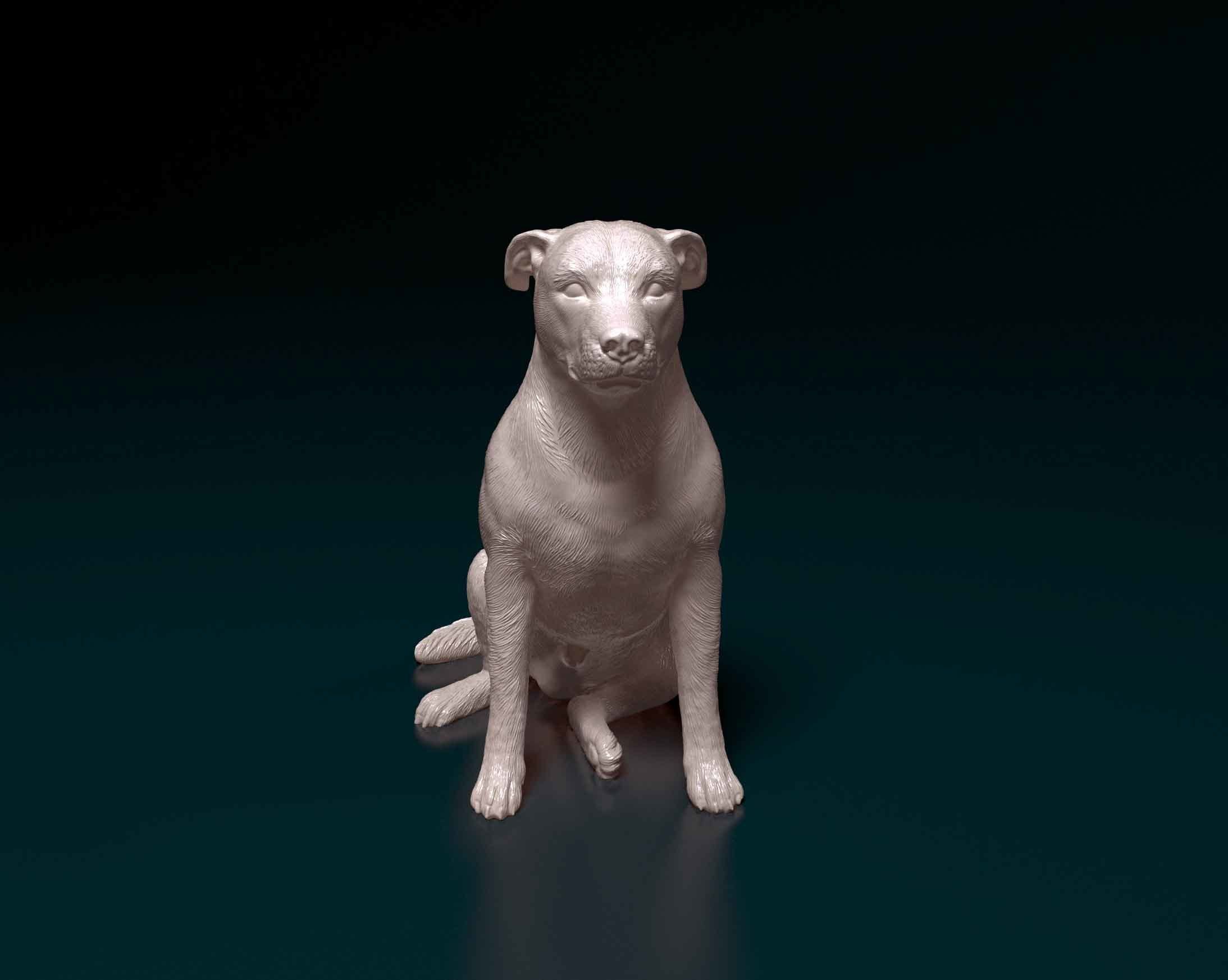 Huntaway dog 3D print model_7
