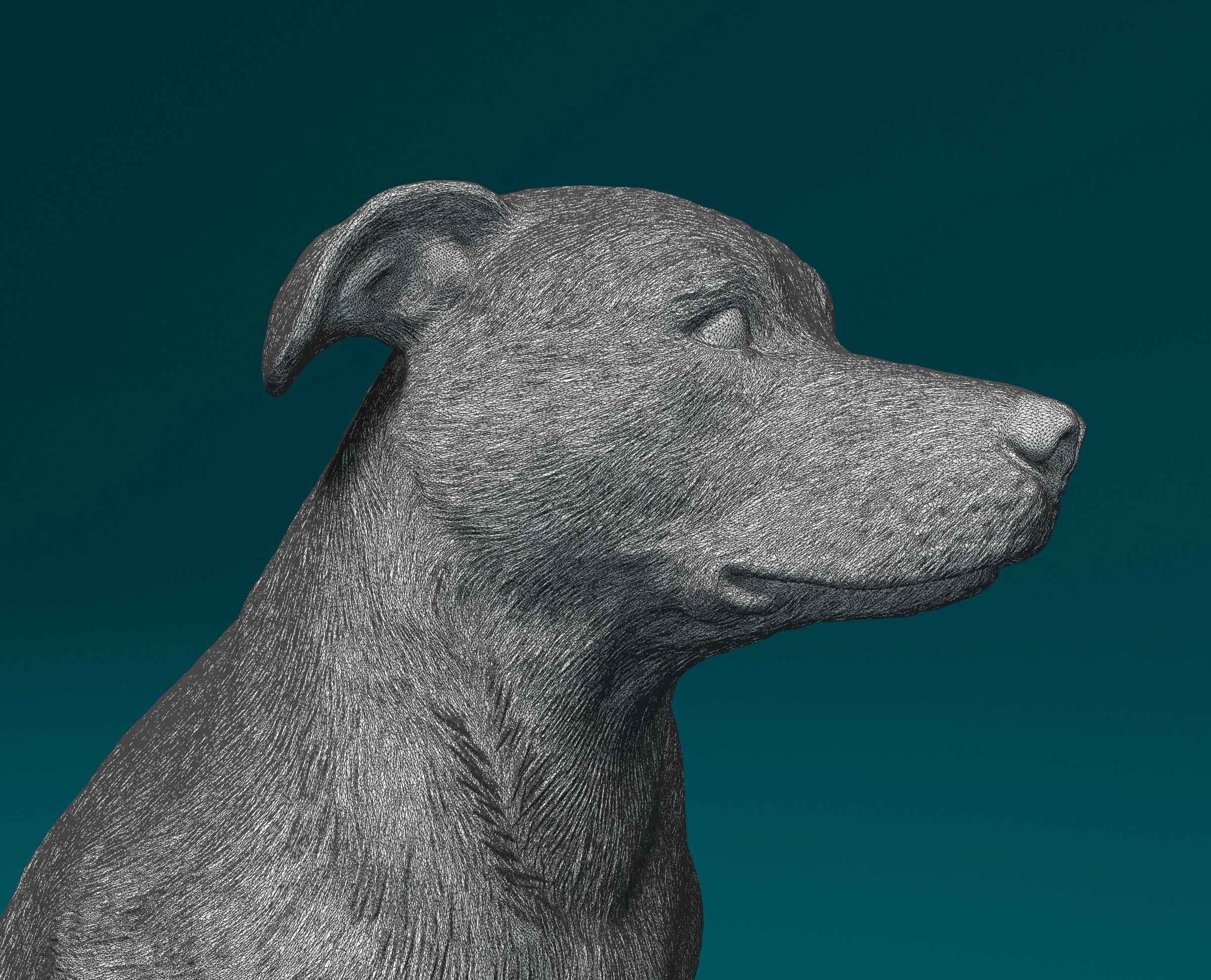Huntaway dog 3D print model_9