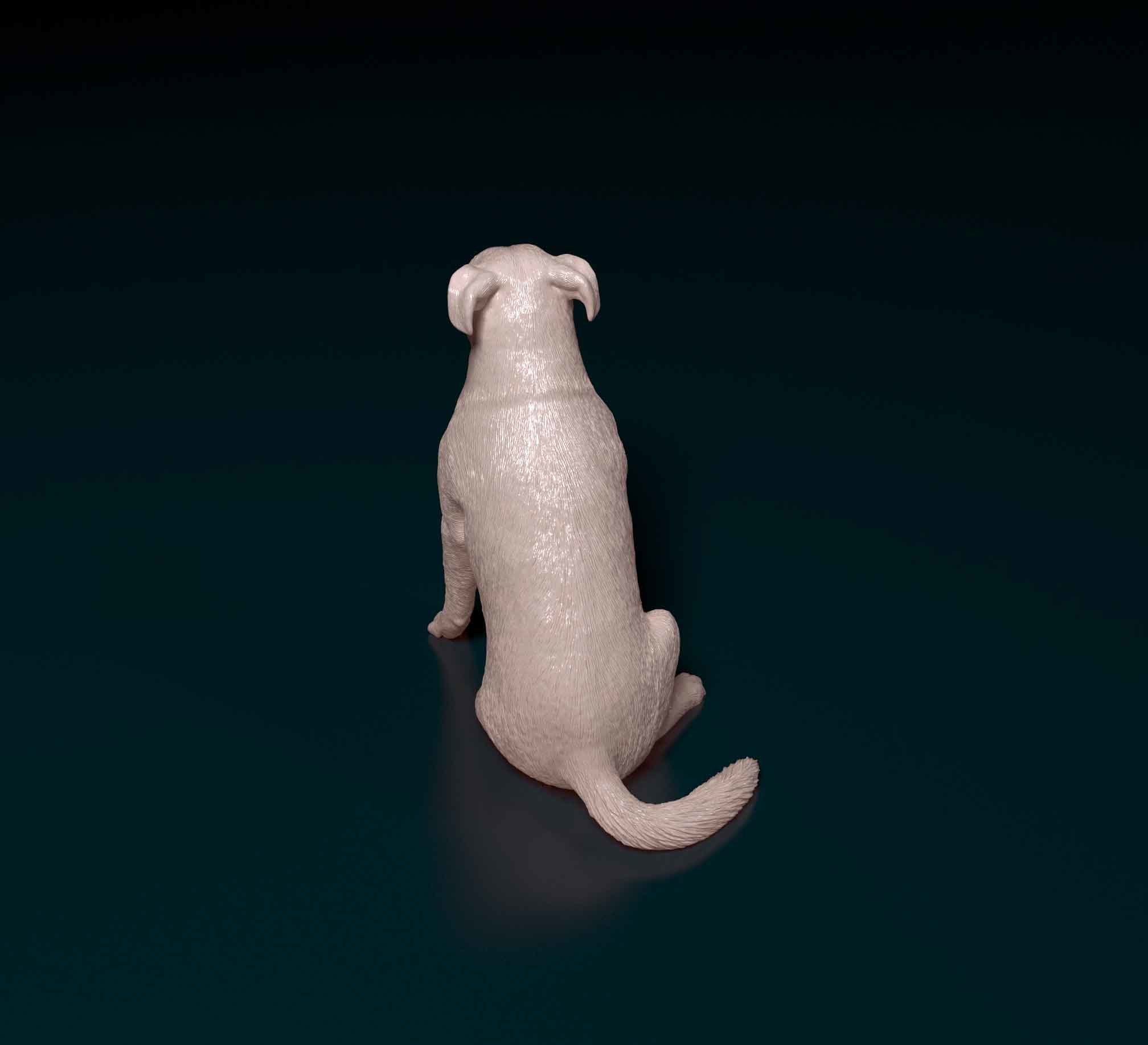 Huntaway dog 3D print model_4