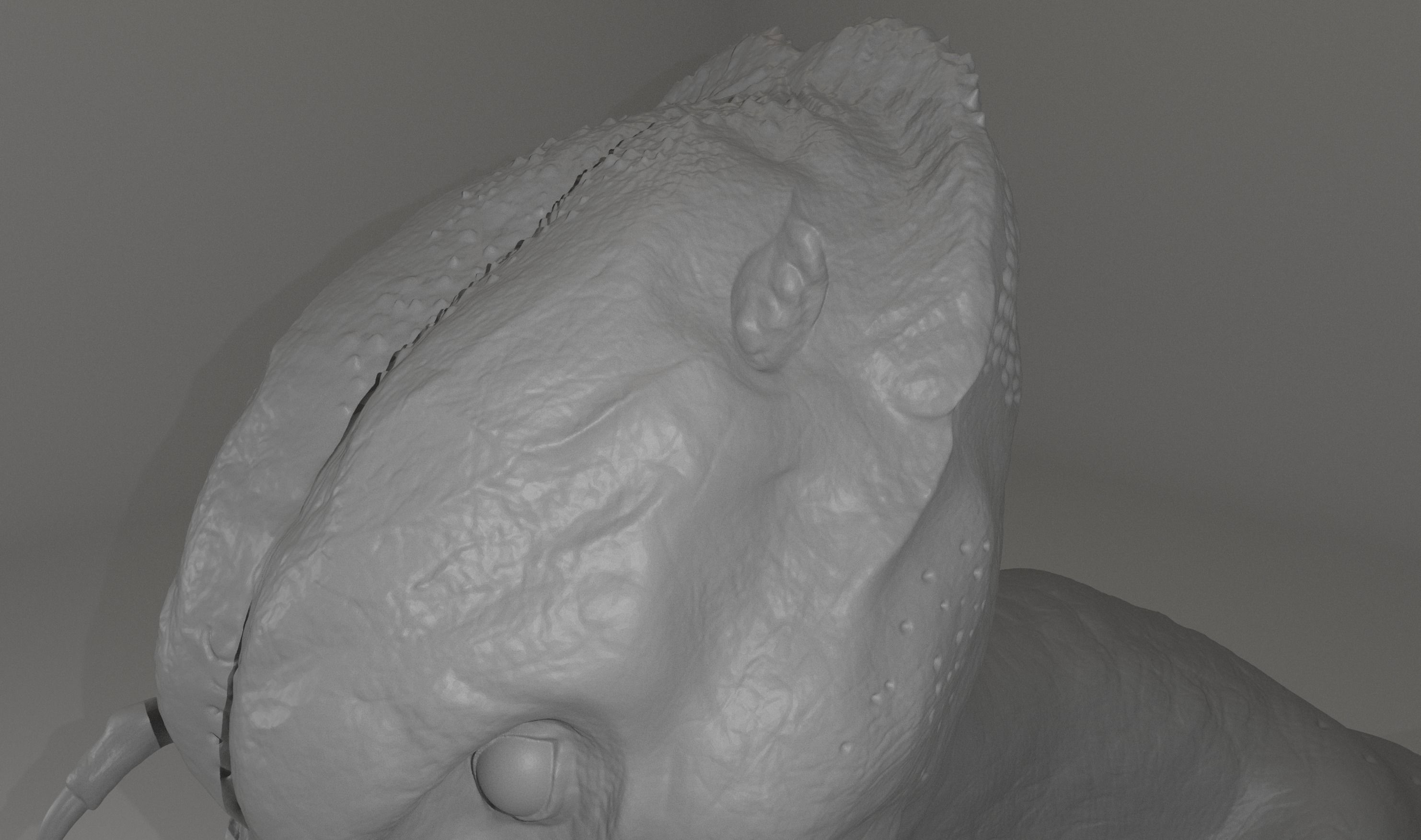 Feral Predator Life Size High Detail Bust 3D print model_3