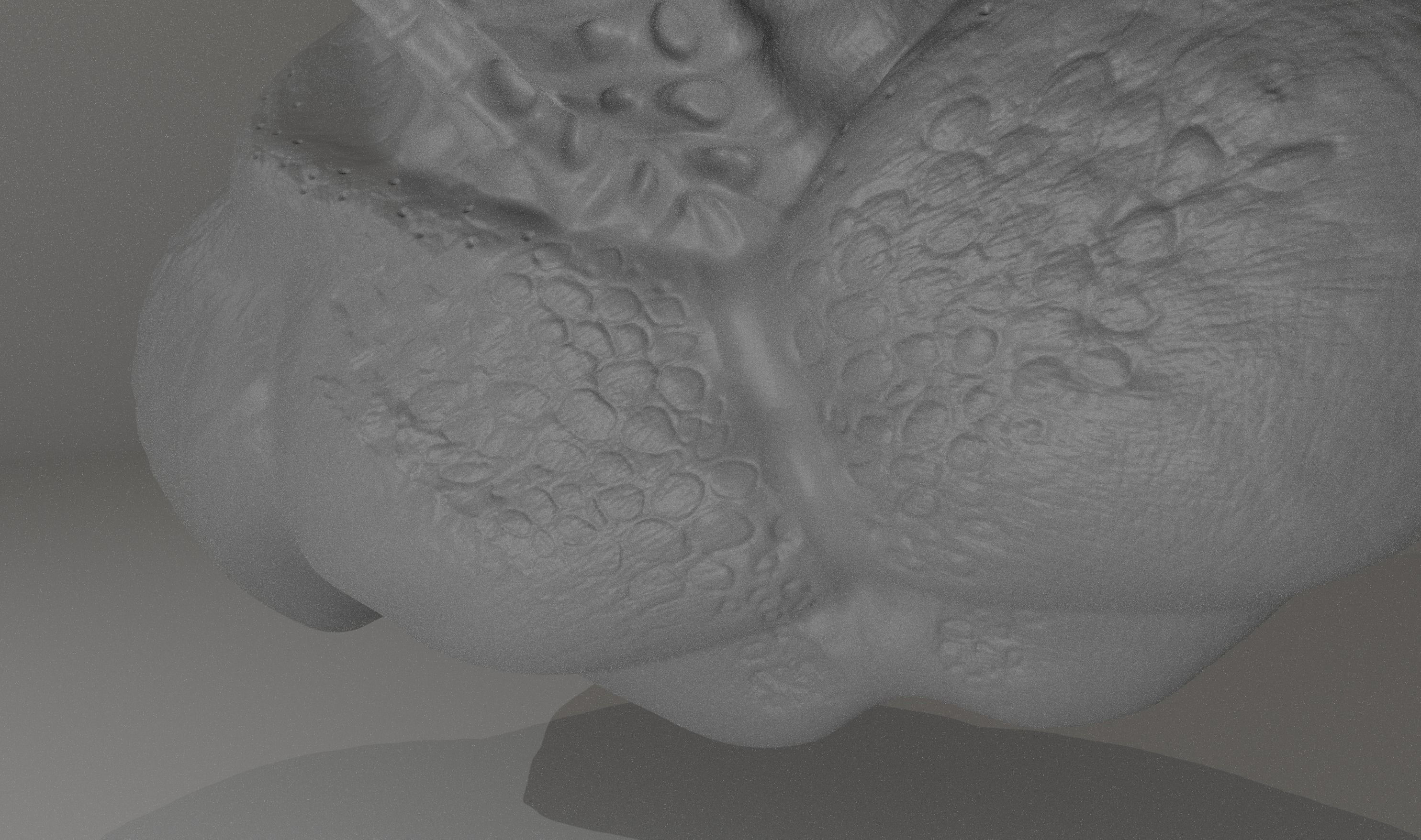 Feral Predator Life Size High Detail Bust 3D print model_6