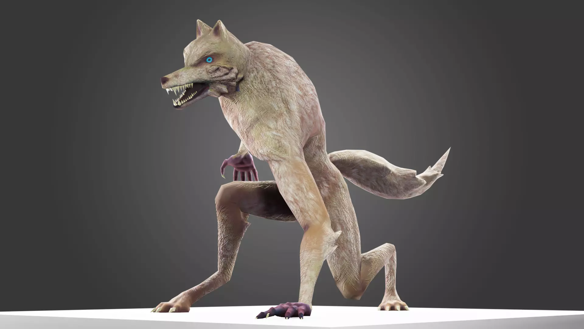 Werewolf wolf Low-poly 3D model_0