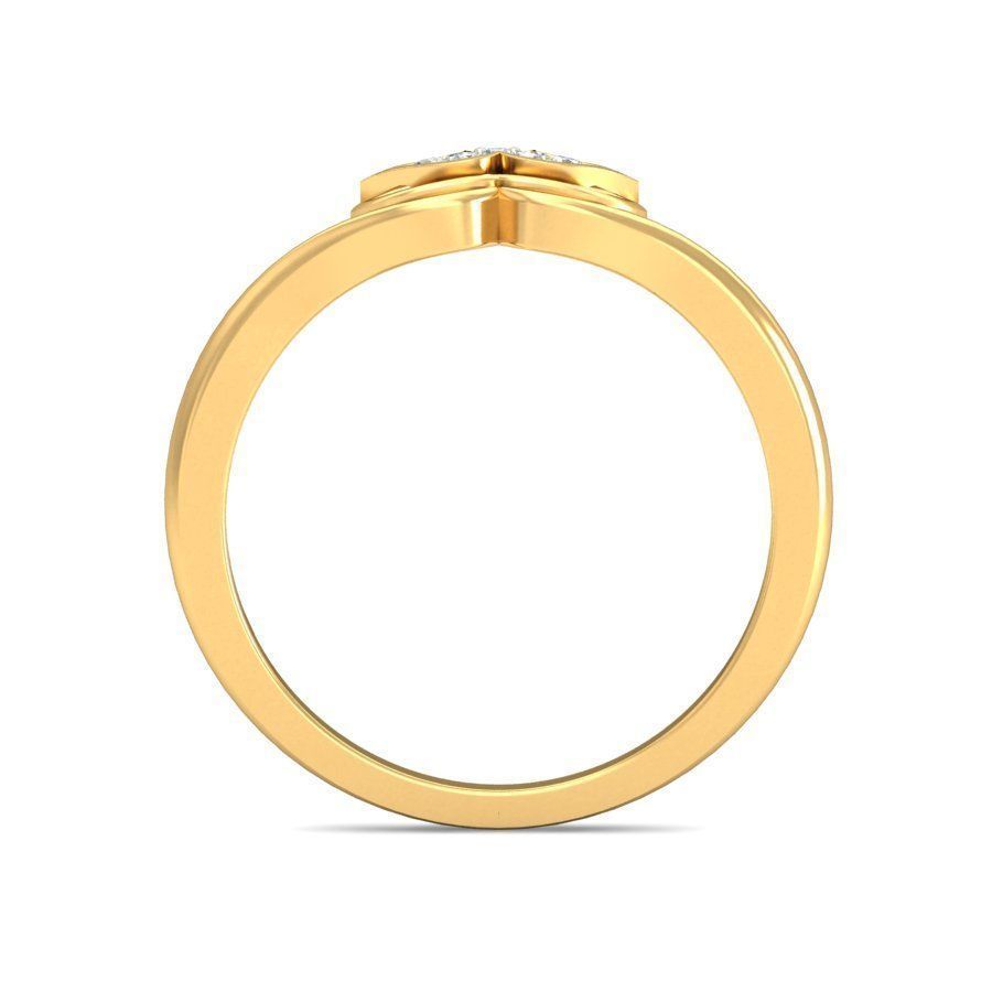 Ring - 3011 3D print model_1