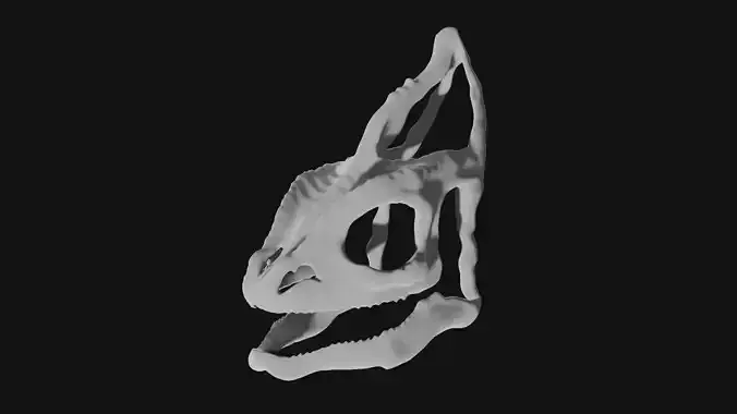 Skull of Chameleon 3D model