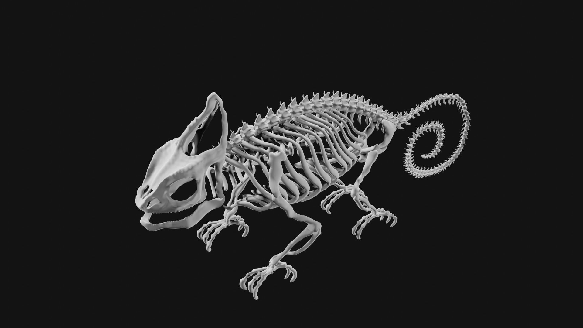 Skeleton of chameleon 3D model_1
