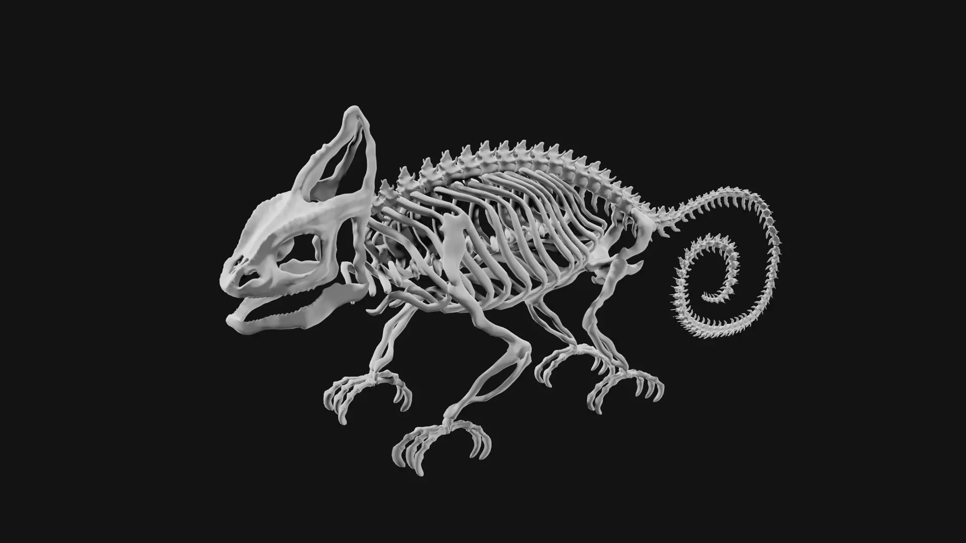 Skeleton of chameleon 3D model_0