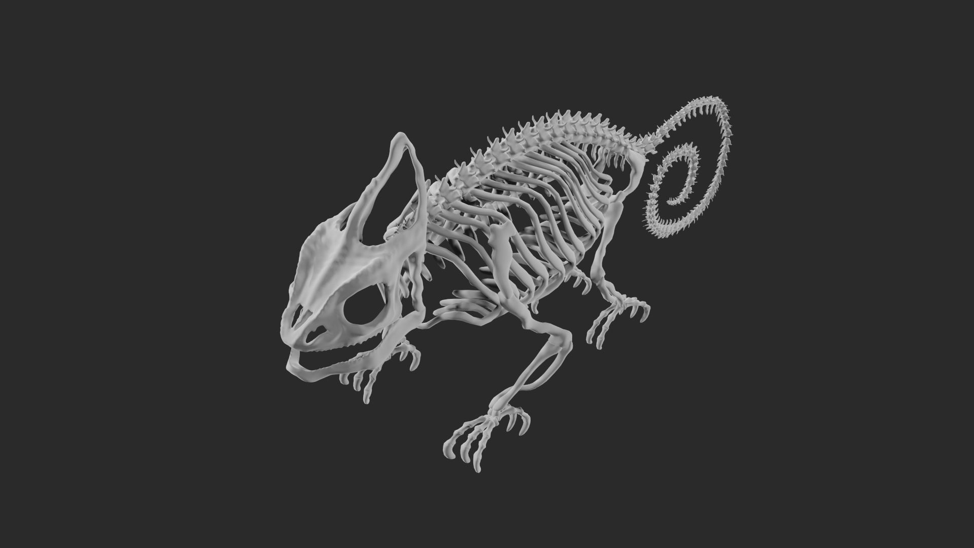 Skeleton of chameleon 3D model_8