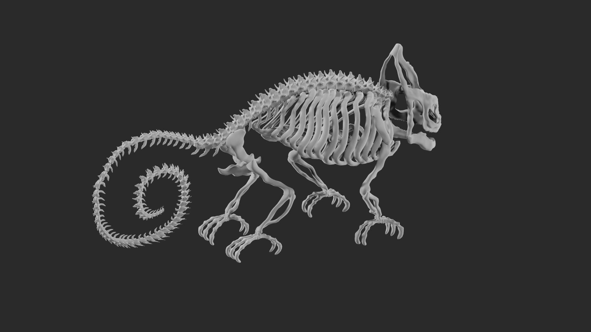 Skeleton of chameleon 3D model_12