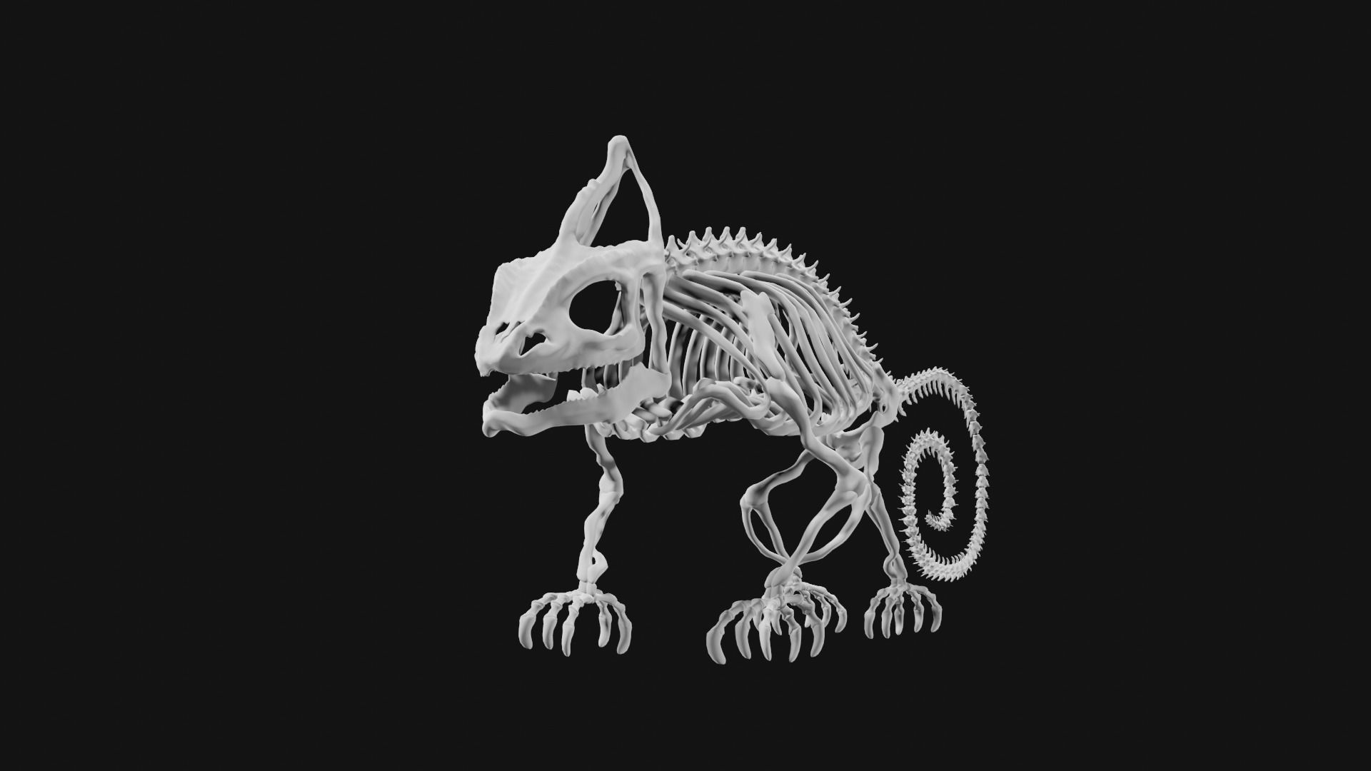 Skeleton of chameleon 3D model_4