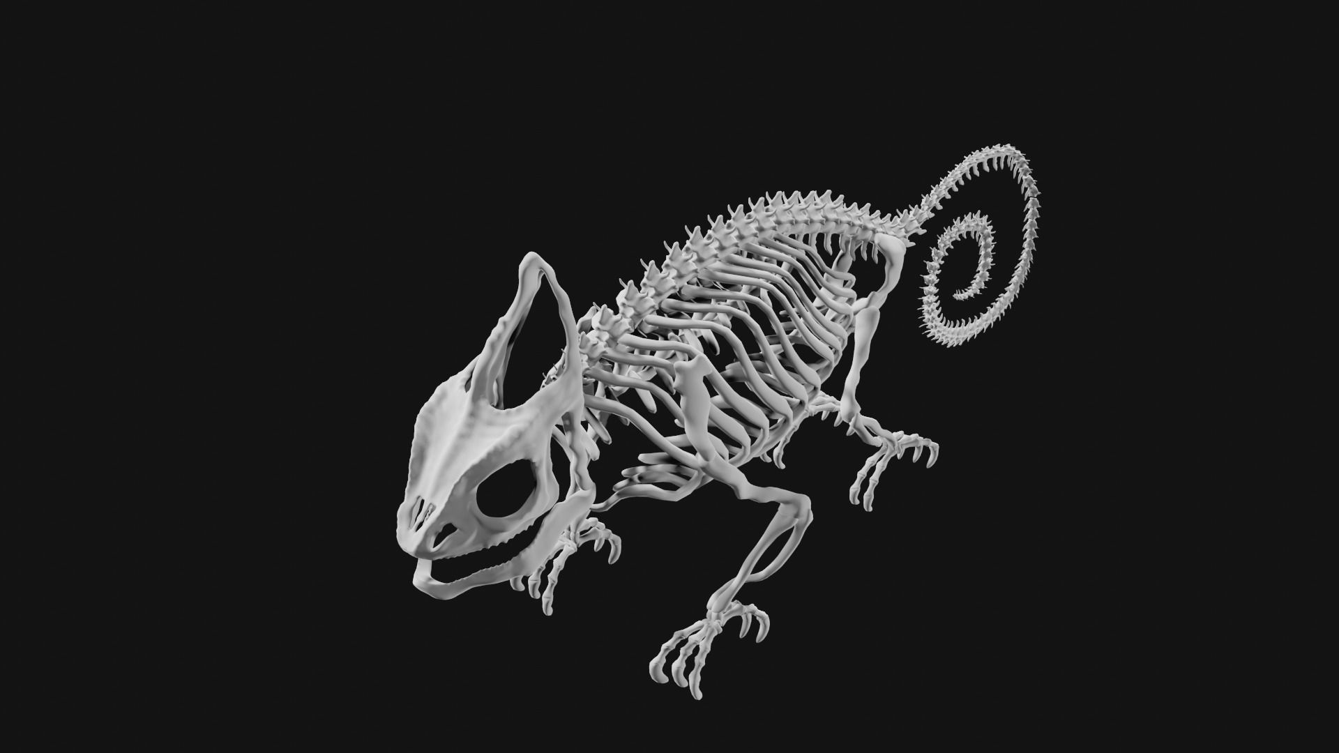 Skeleton of chameleon 3D model_6