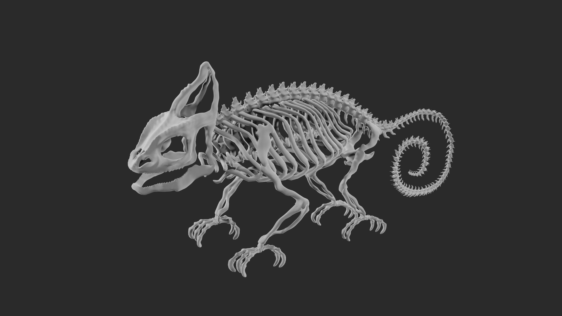 Skeleton of chameleon 3D model_7