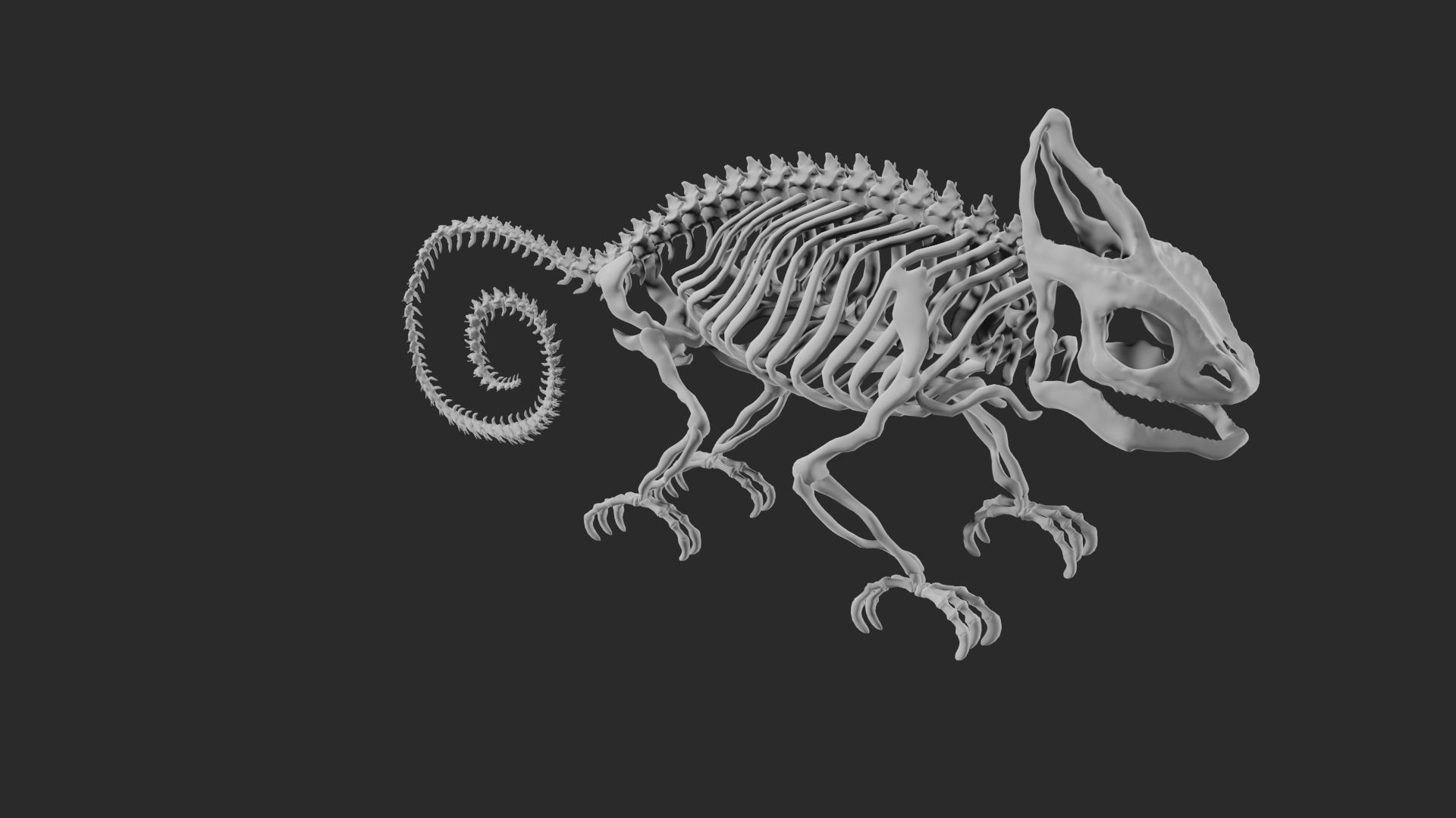 Skeleton of chameleon 3D model_9