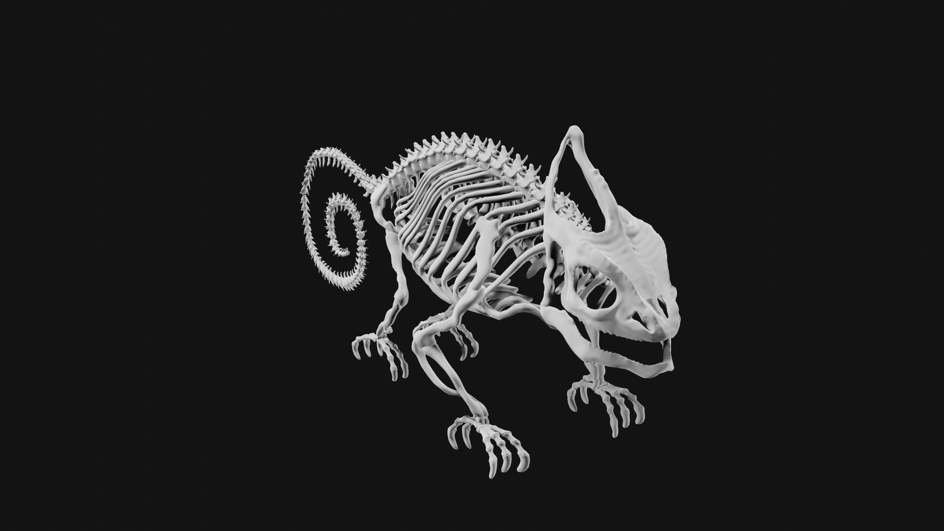 Skeleton of chameleon 3D model_5