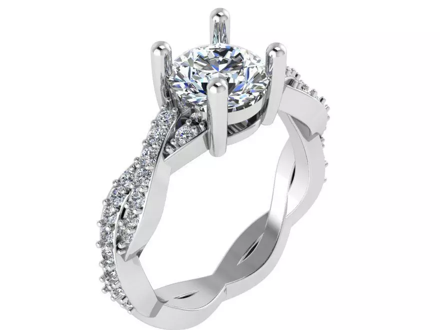 Textured Bridge Ring 1717 3D print model 3D print model_0