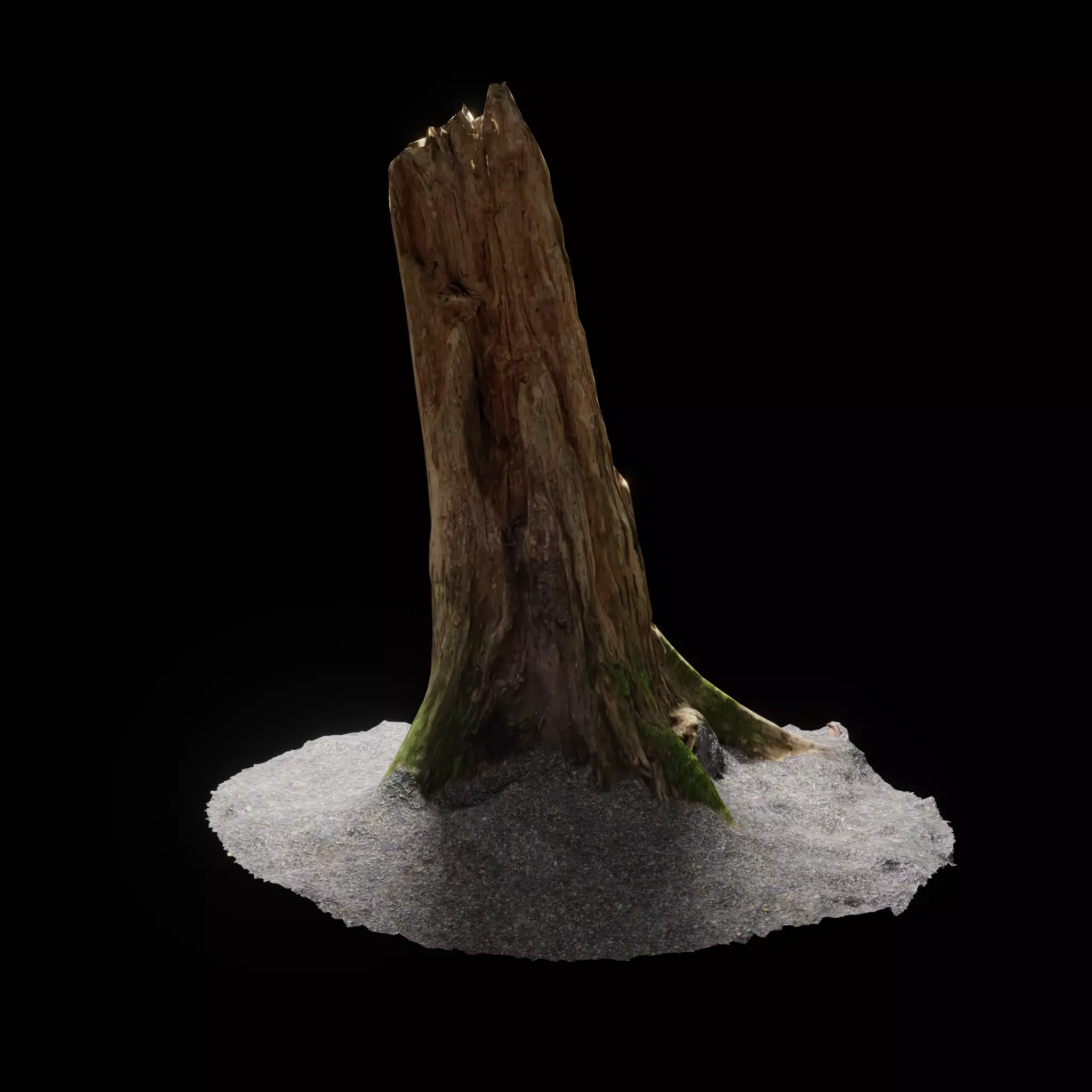 Forest Tree Stump 4K -Part11- Free low-poly 3D model