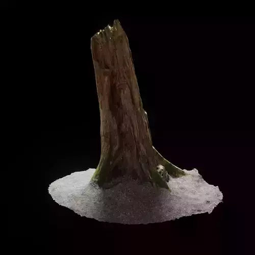 Forest Tree Stump 4K -Part11-