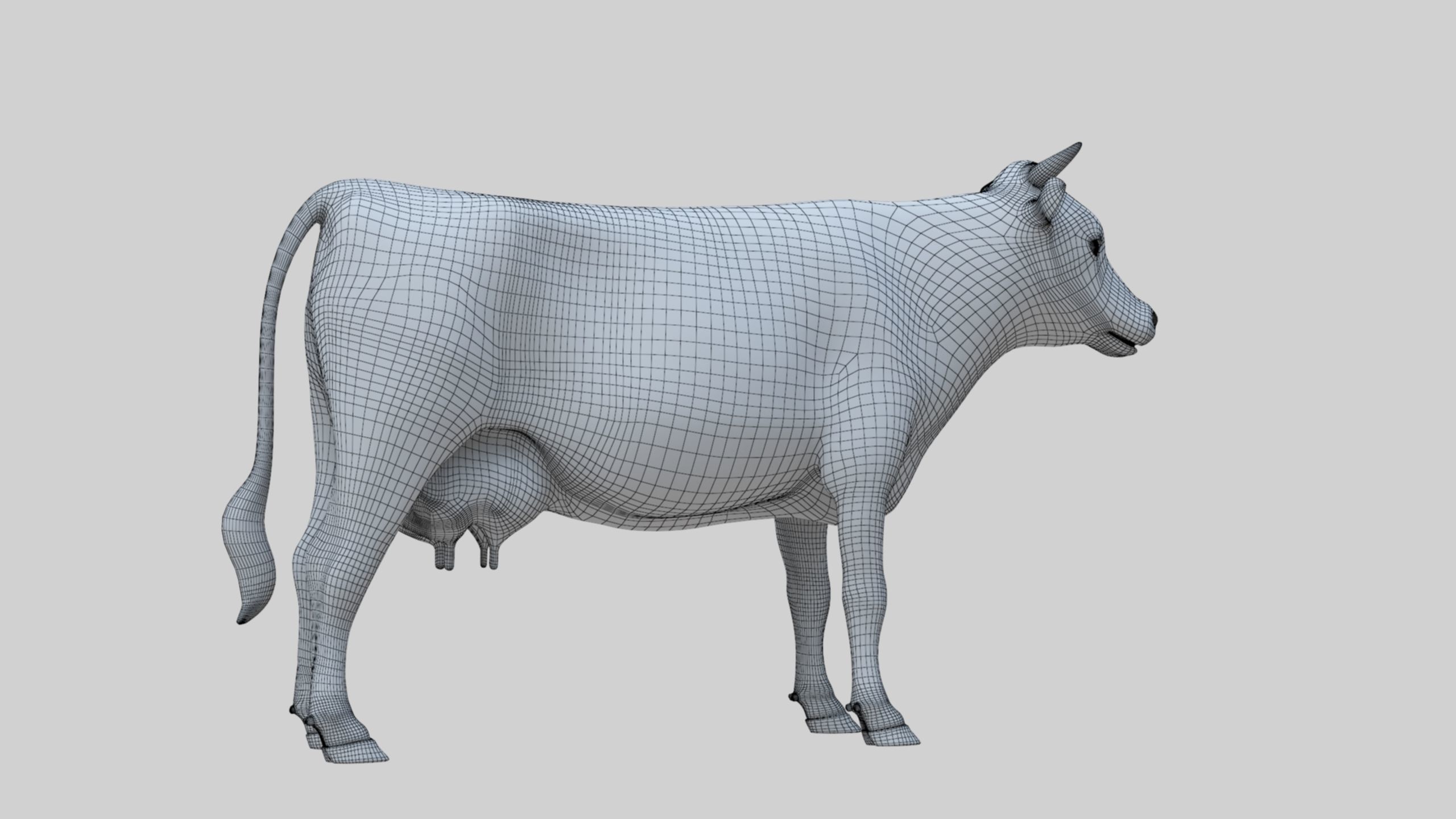 3D model Low Poly Holstein Cow Unwapped 4K Low-poly 3D model_35