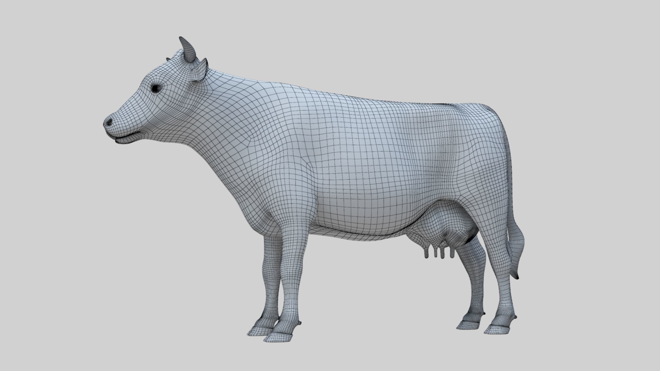 3D model Low Poly Holstein Cow Unwapped 4K Low-poly 3D model_47