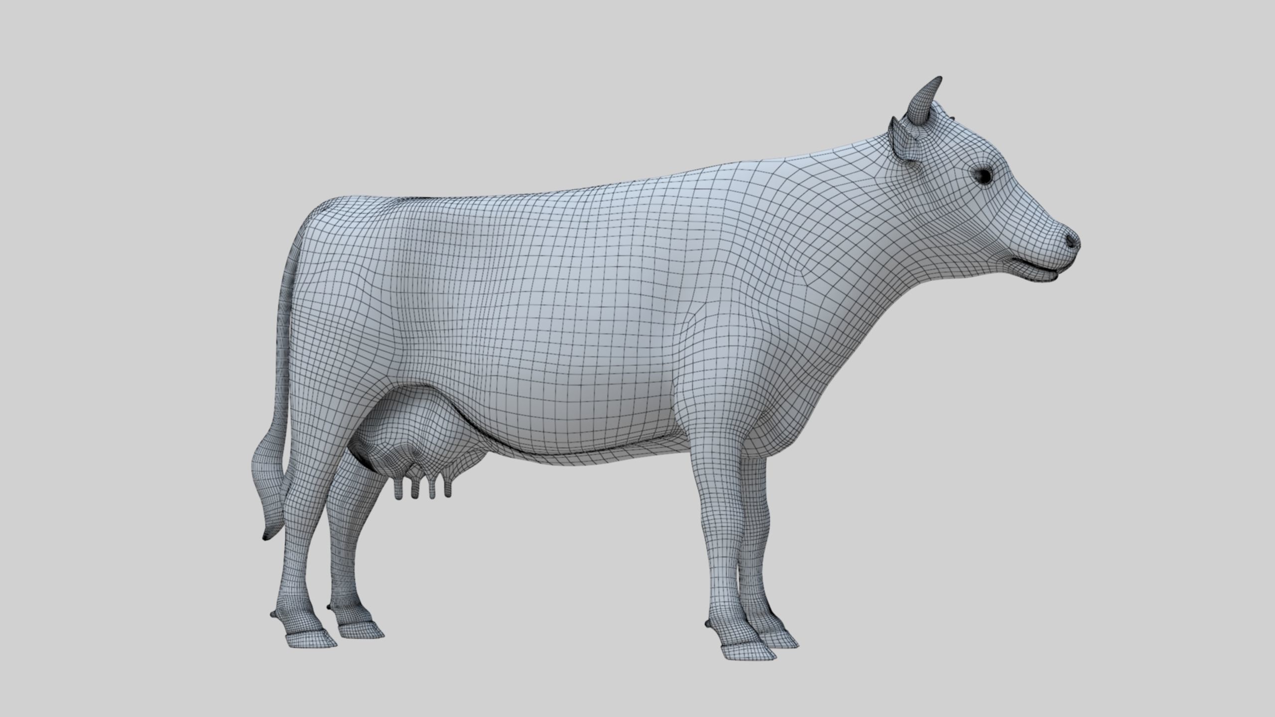 3D model Low Poly Holstein Cow Unwapped 4K Low-poly 3D model_90