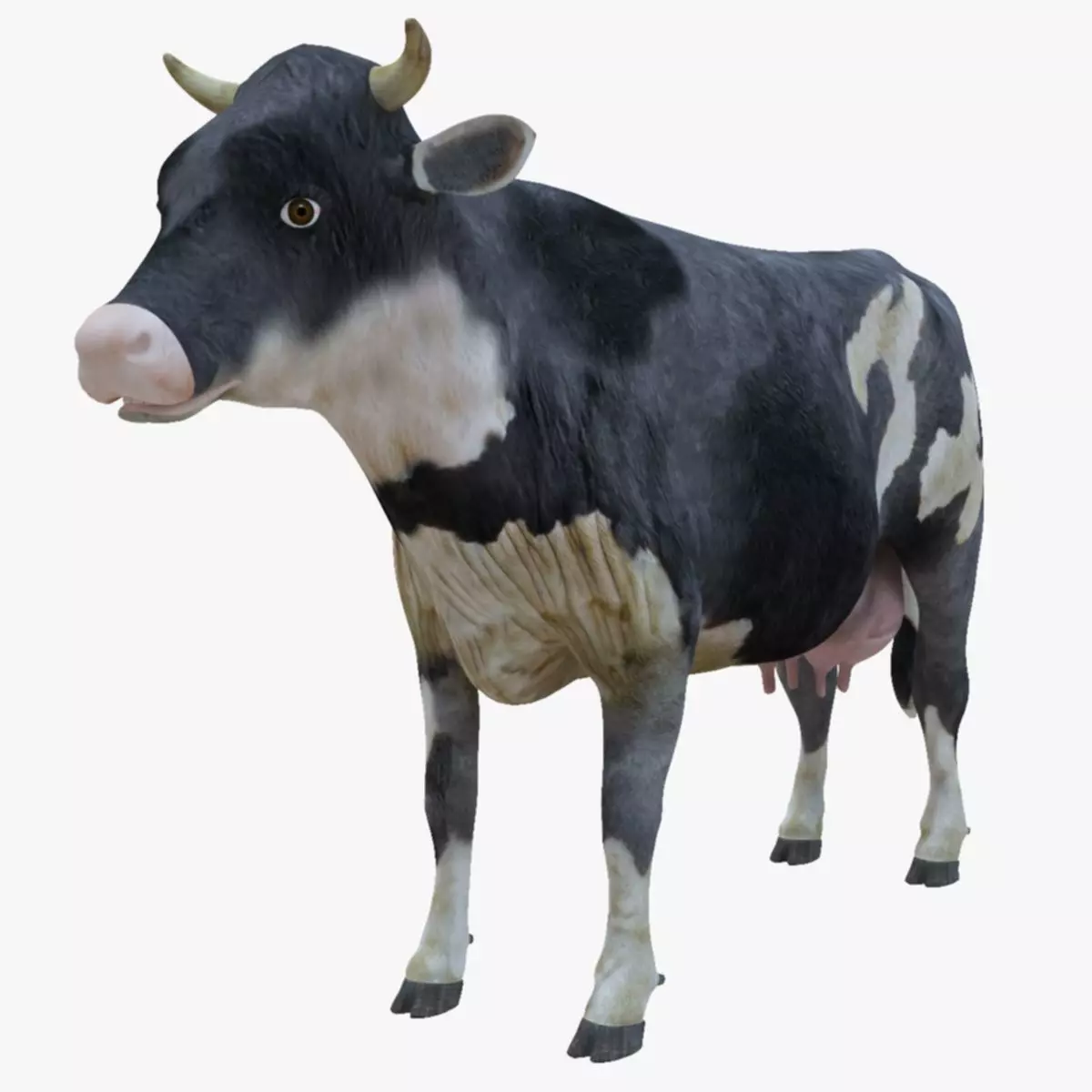 3D model Low Poly Holstein Cow Unwapped 4K Low-poly 3D model_0