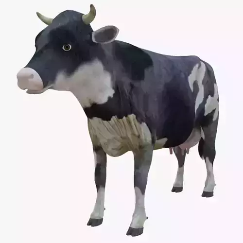 3D model Low Poly Holstein Cow Unwapped 4K Low-poly 3D model