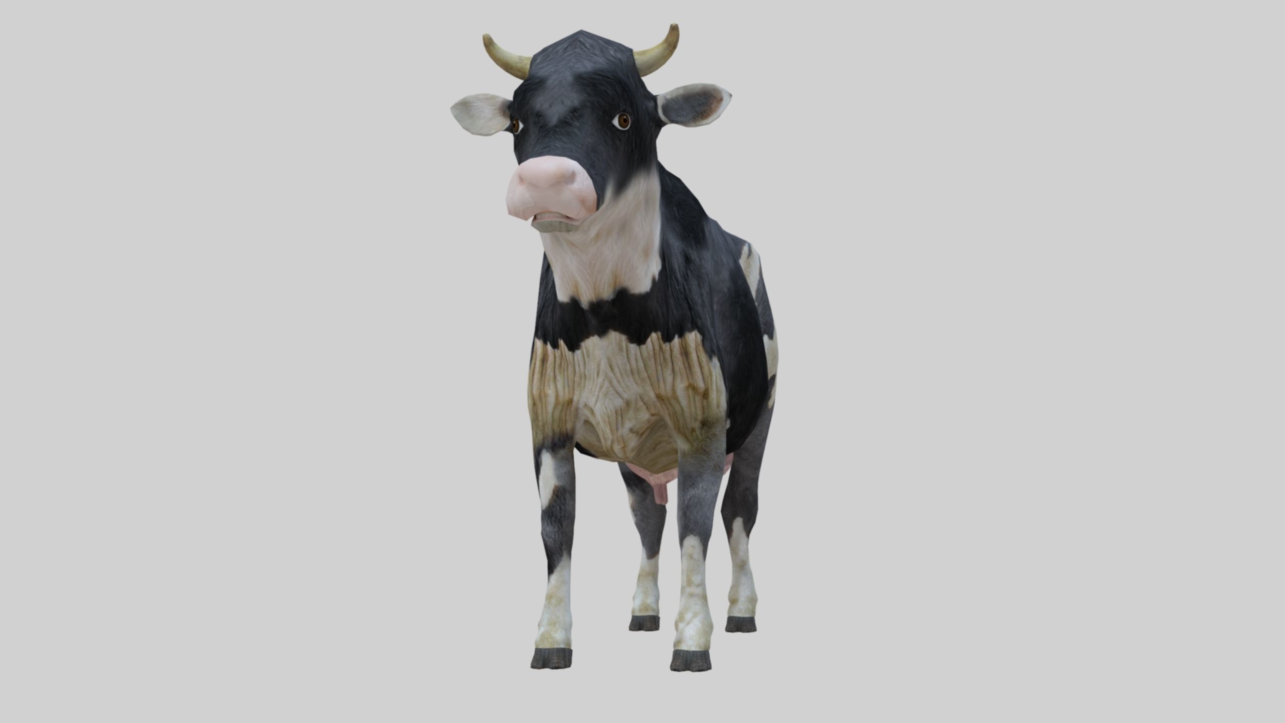 3D model Low Poly Holstein Cow Unwapped 4K Low-poly 3D model_3