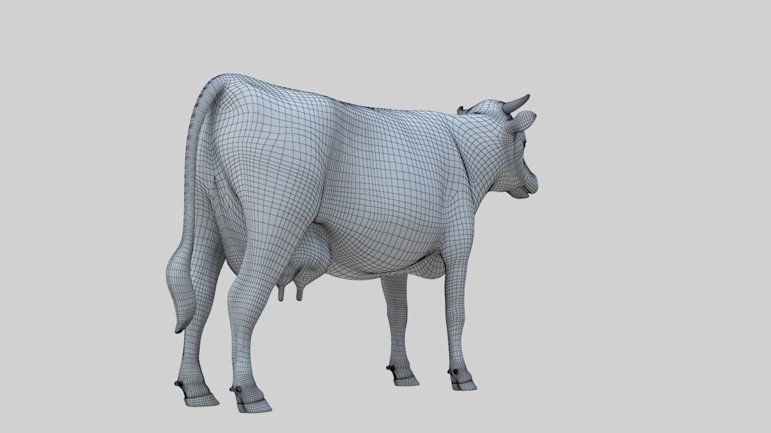 3D model Low Poly Holstein Cow Unwapped 4K Low-poly 3D model_42