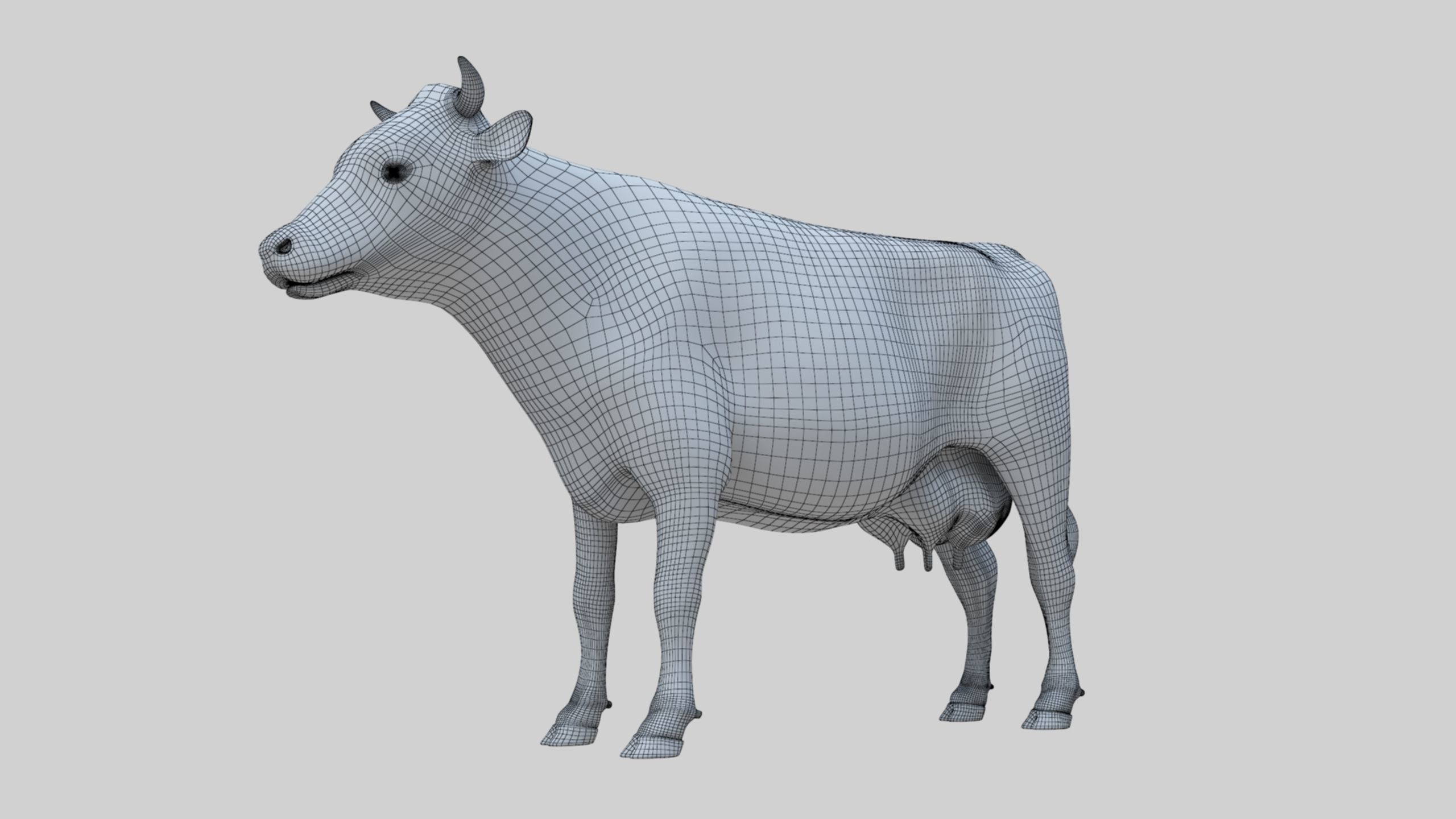 3D model Low Poly Holstein Cow Unwapped 4K Low-poly 3D model_91