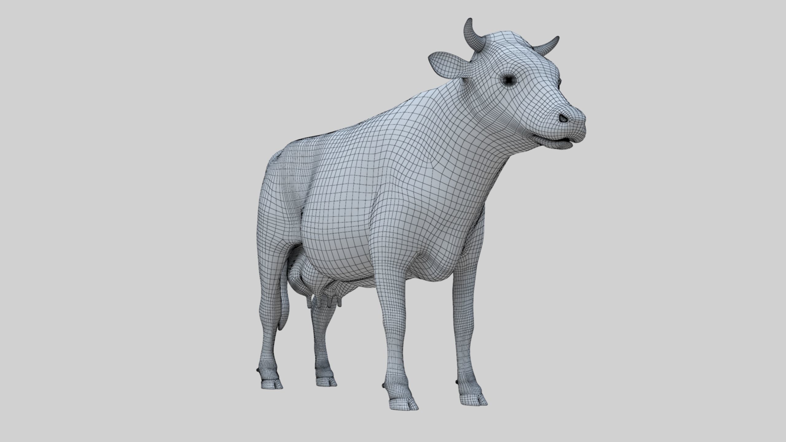 3D model Low Poly Holstein Cow Unwapped 4K Low-poly 3D model_50