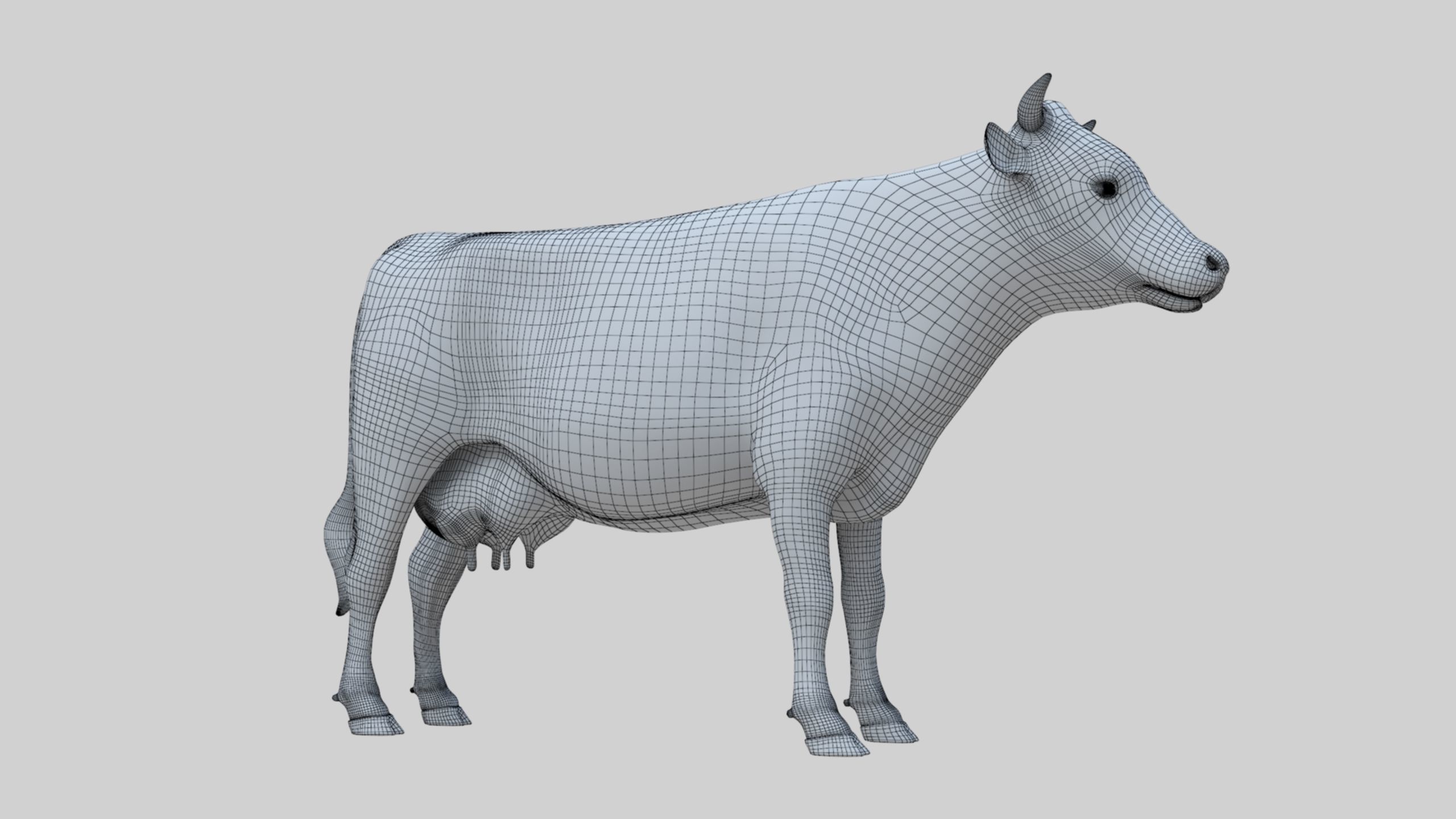 3D model Low Poly Holstein Cow Unwapped 4K Low-poly 3D model_55