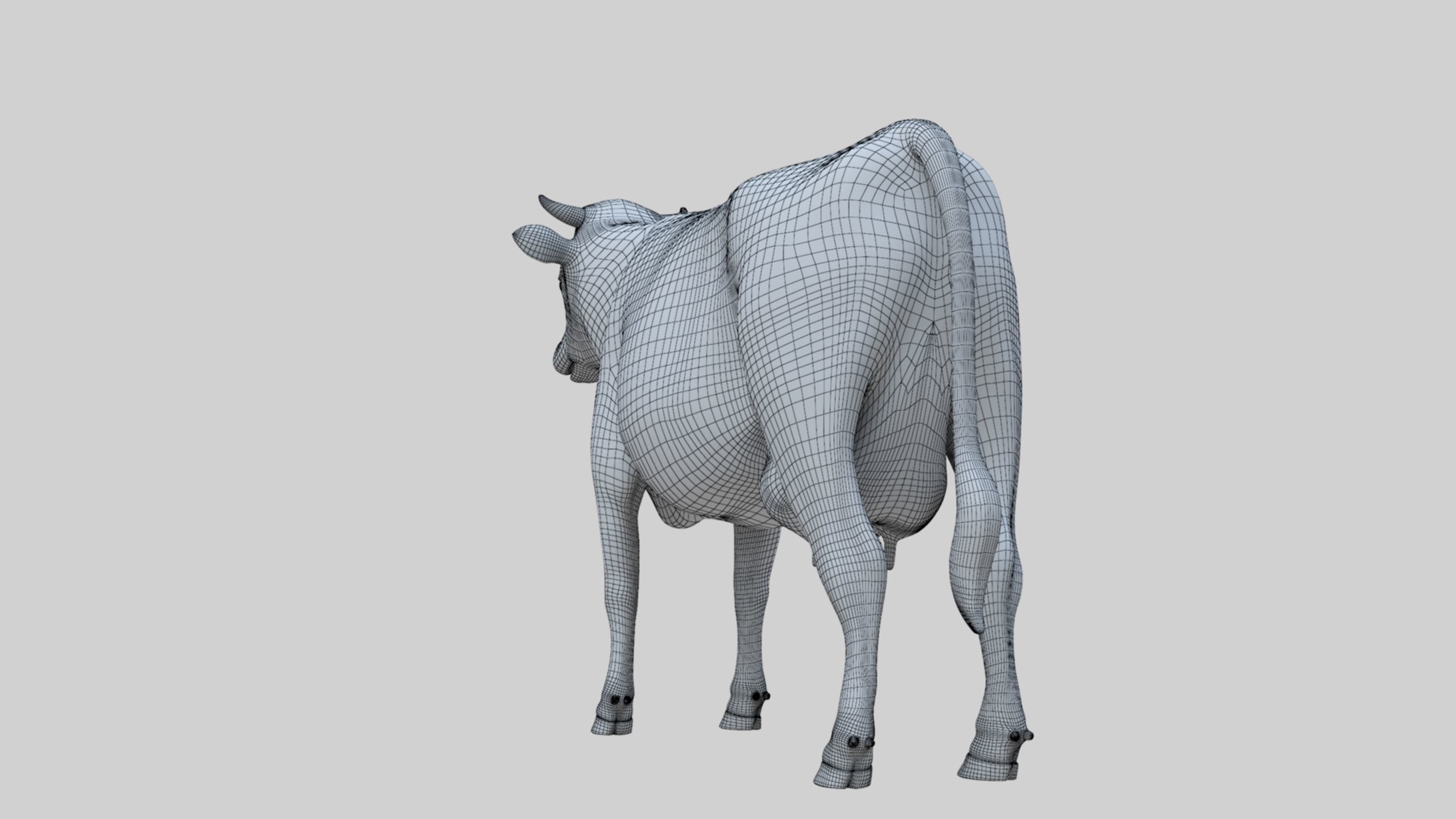 3D model Low Poly Holstein Cow Unwapped 4K Low-poly 3D model_17
